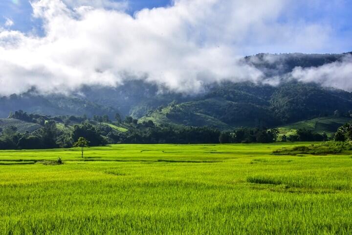 DECATHLON TRAVEL picture