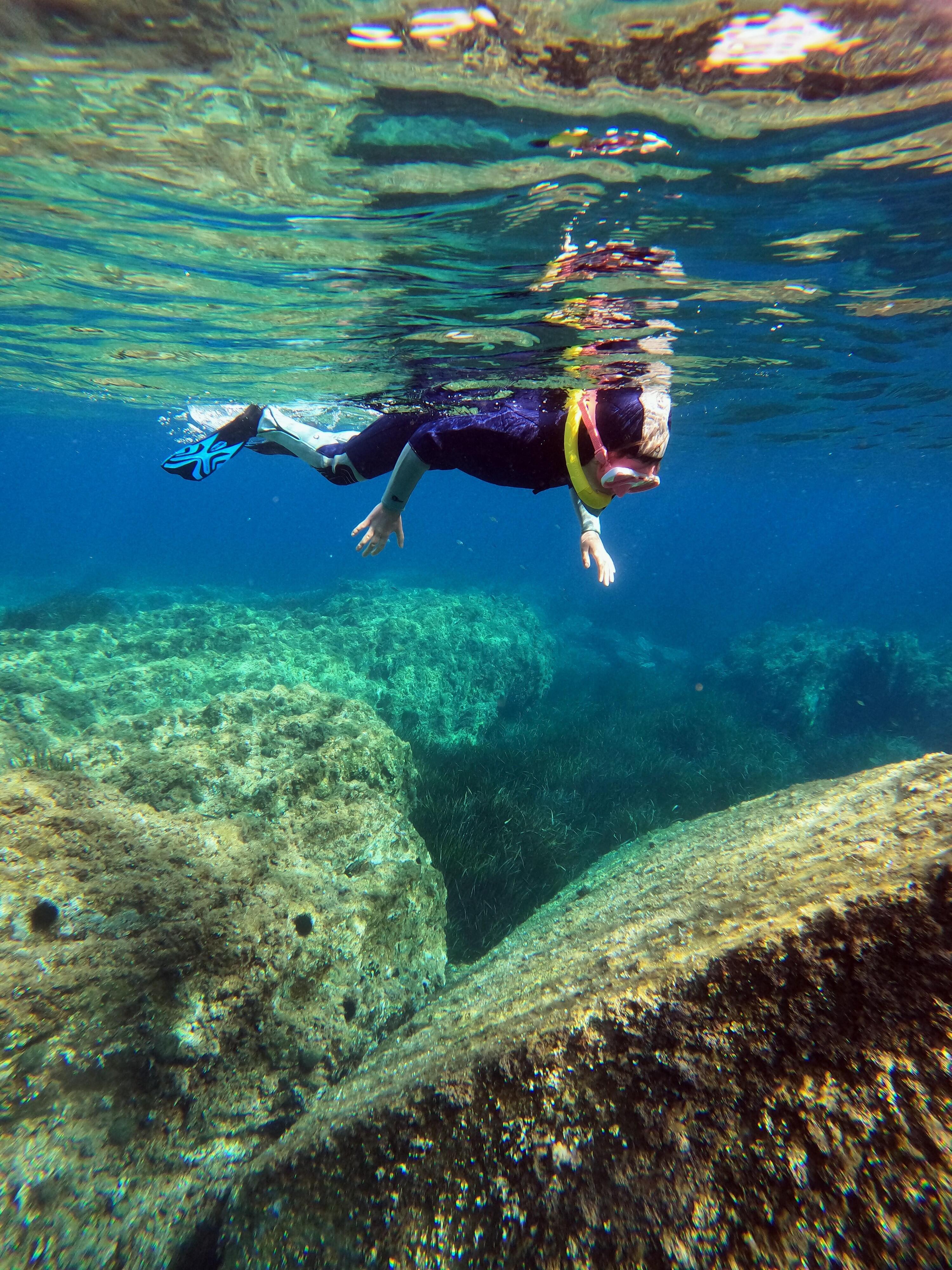 Snorkeling randonnée palmée à Port-Cros 1/1
