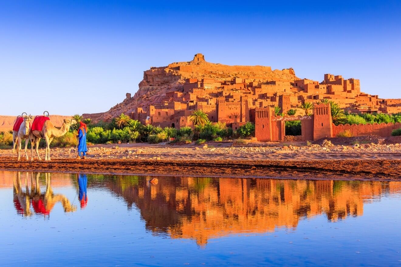 DECATHLON TRAVEL picture