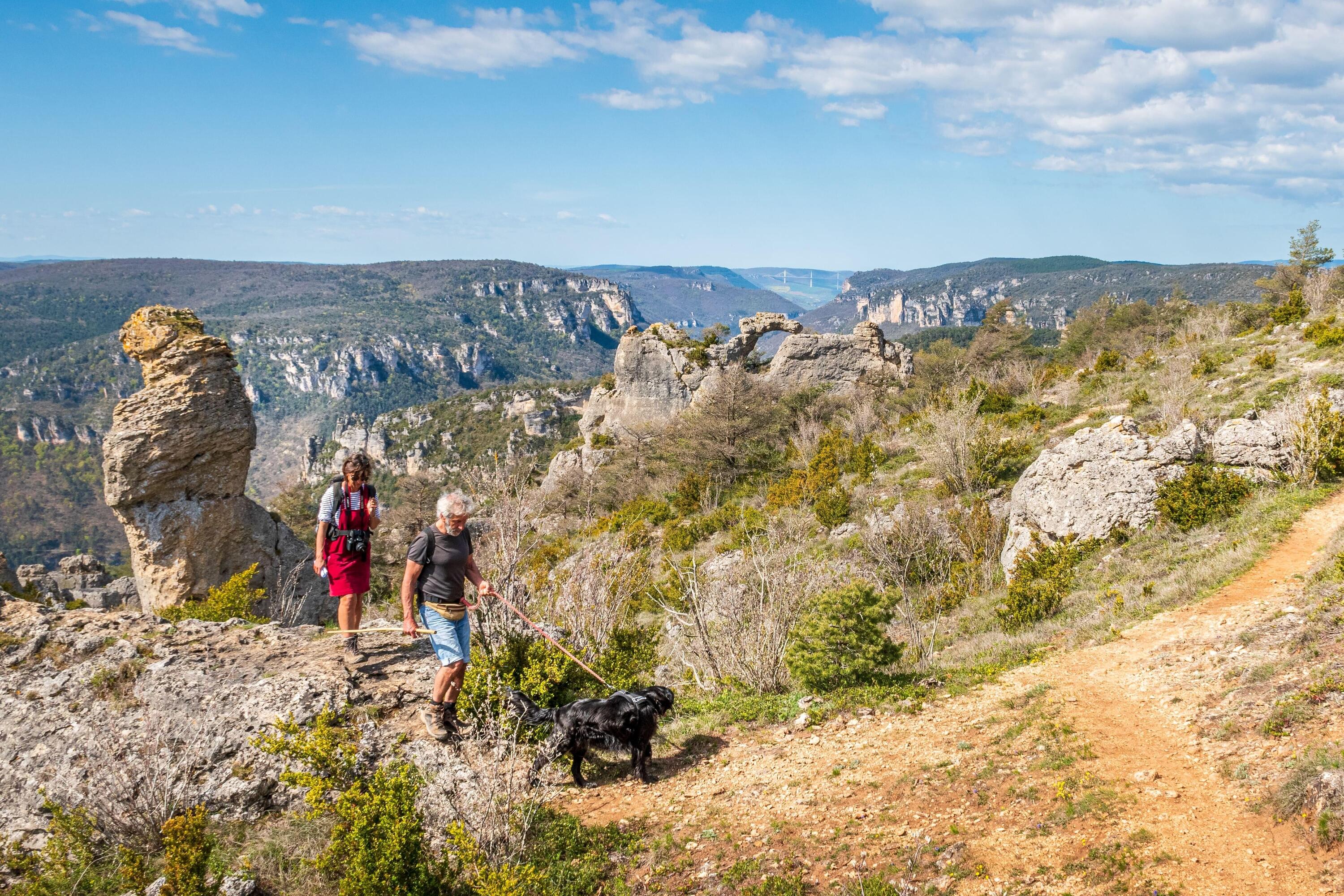 DECATHLON TRAVEL picture