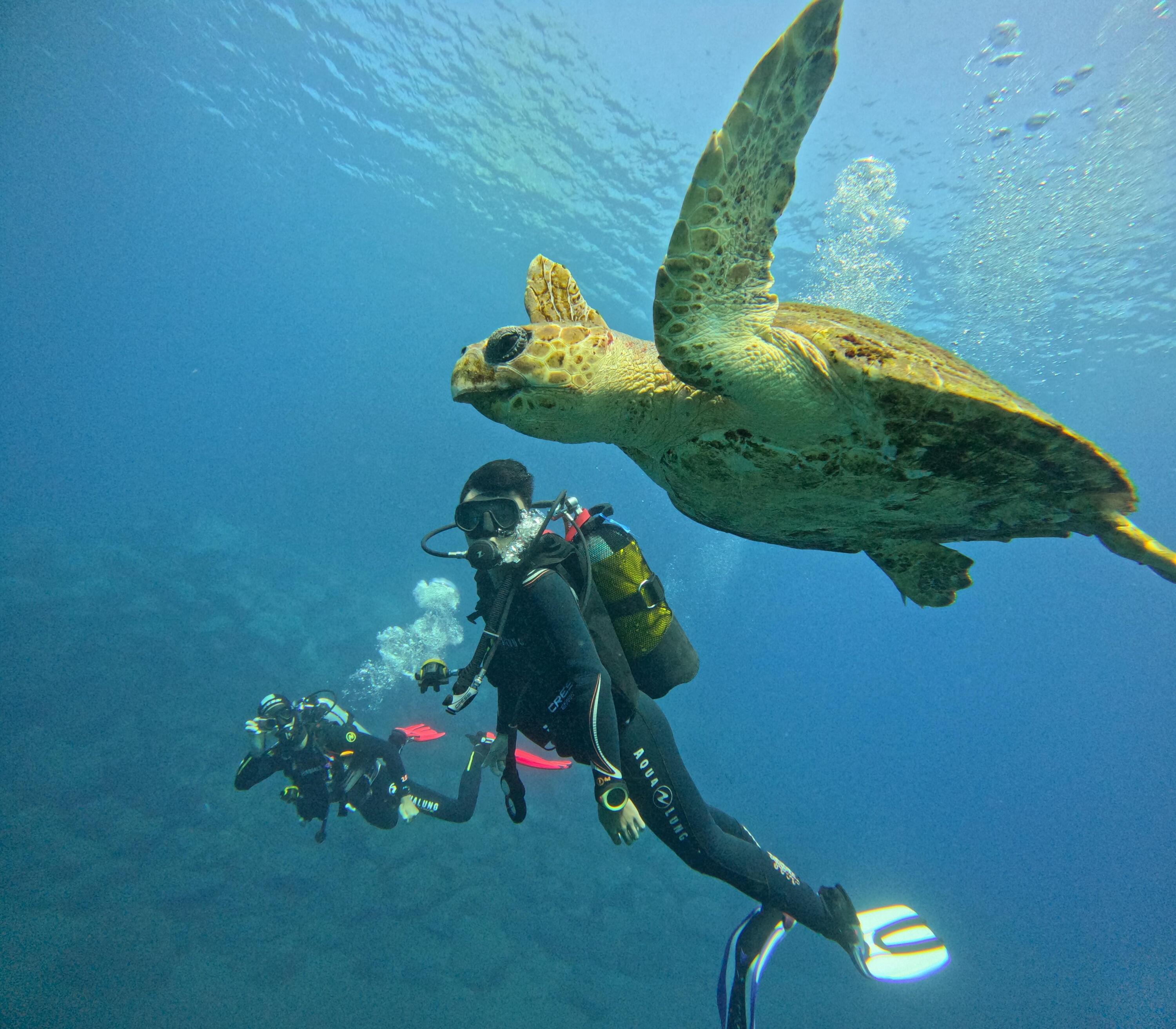 DECATHLON TRAVEL picture
