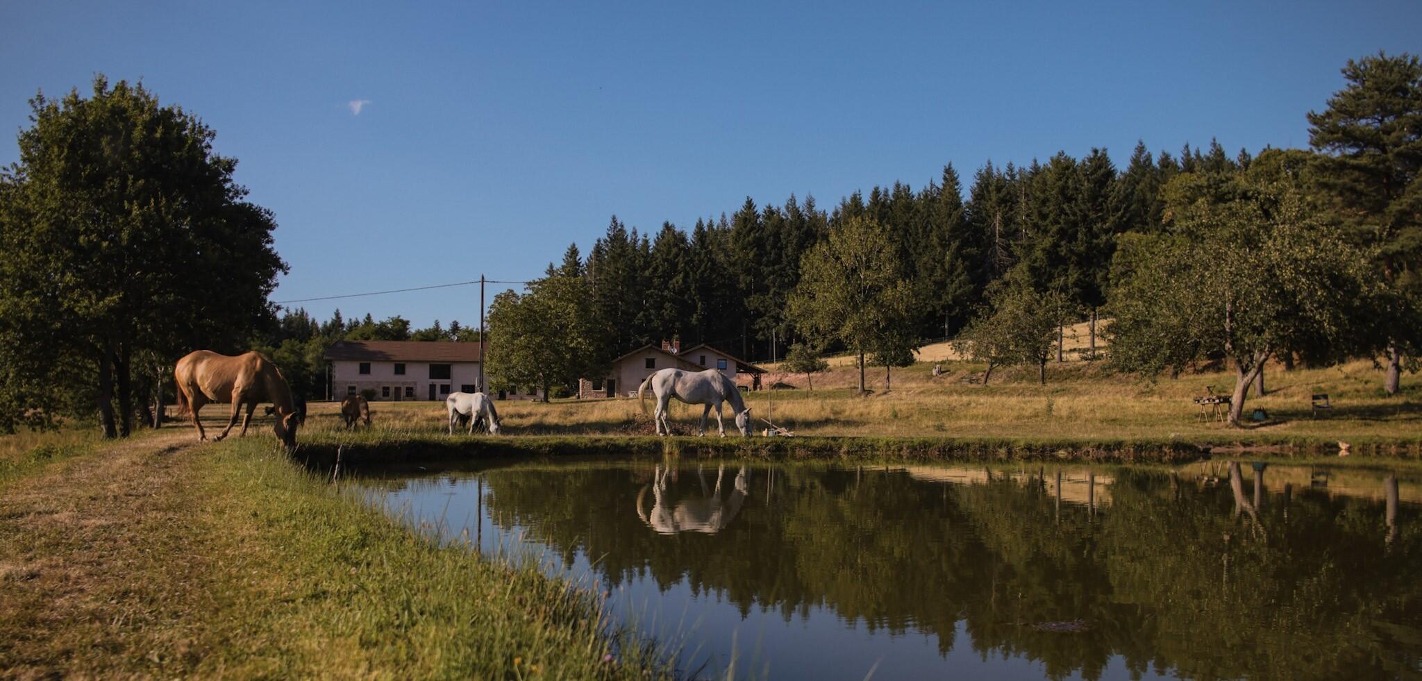 Randonnée équestre dans le bocage du Brionnais 1/1