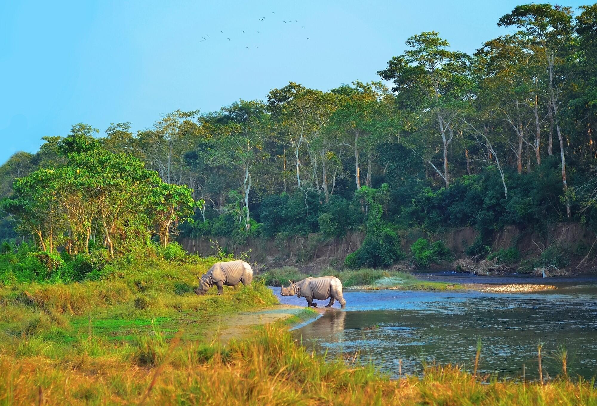 DECATHLON TRAVEL picture