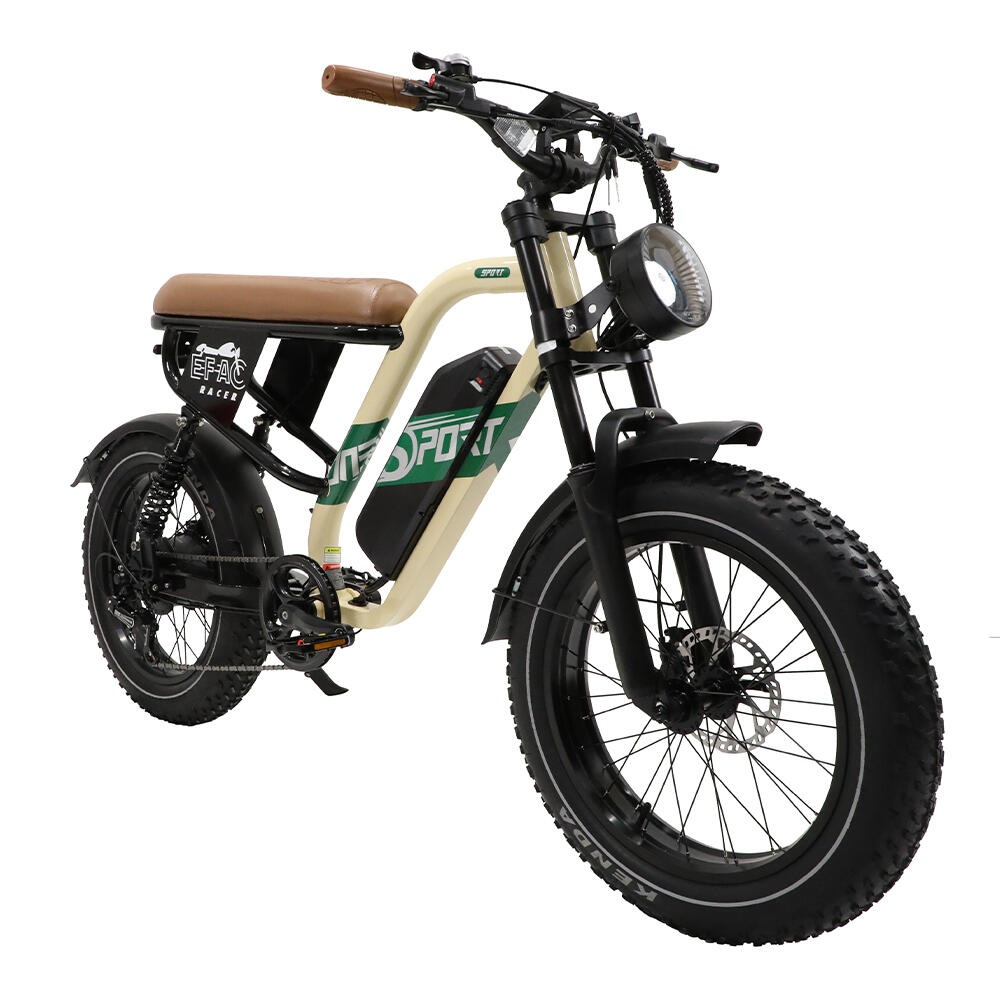 W66 E-Bike Fat Tire Full Suspension – 48V 250W, 20×4, 65 Nm 3/7