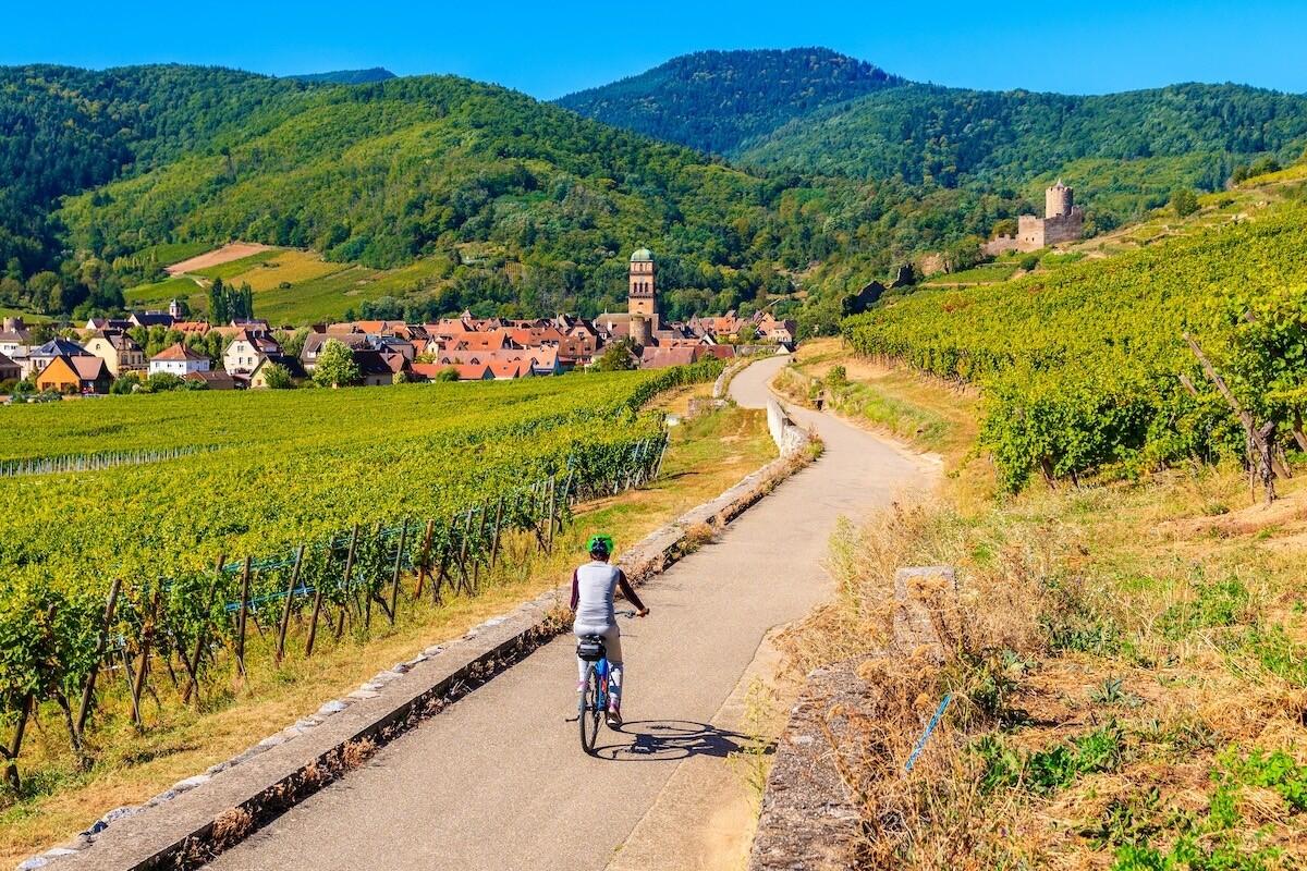 De Strasbourg à Colmar à vélo entre vignobles et villages alsaciens 1/1