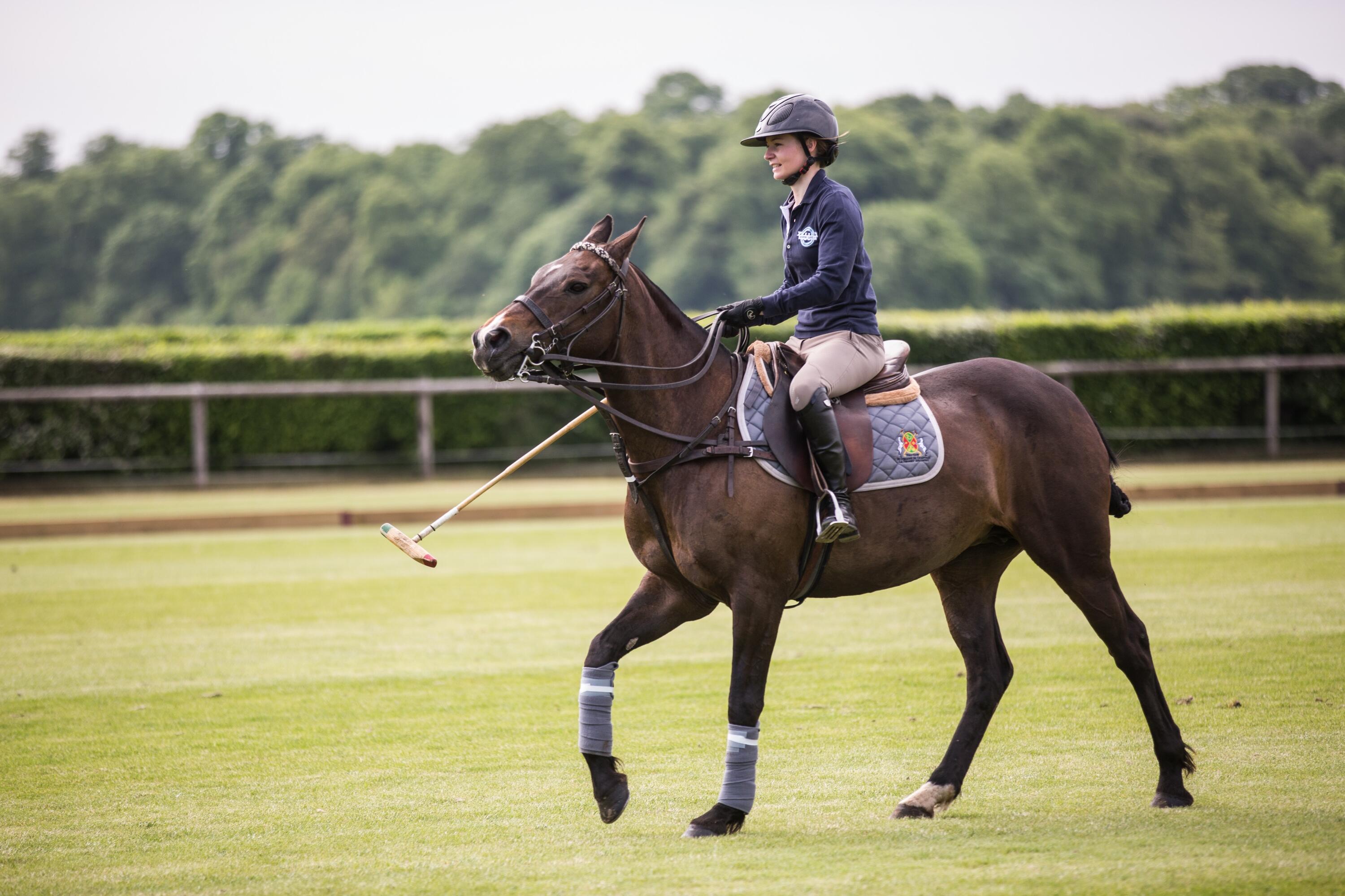 Stage d'initiation au polo à Chantilly 1/1