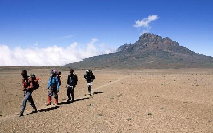 DECATHLON TRAVEL picture