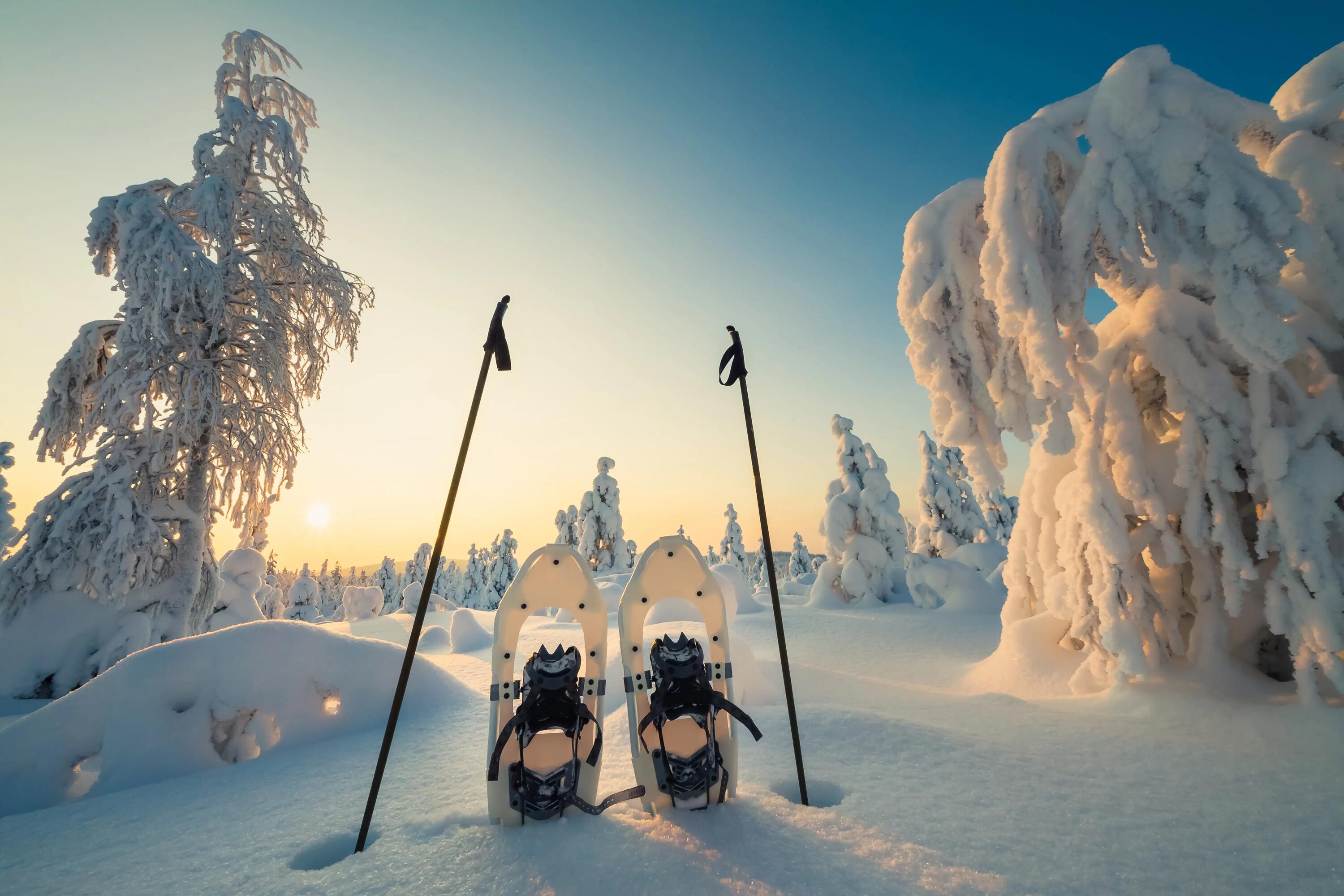 DECATHLON TRAVEL picture