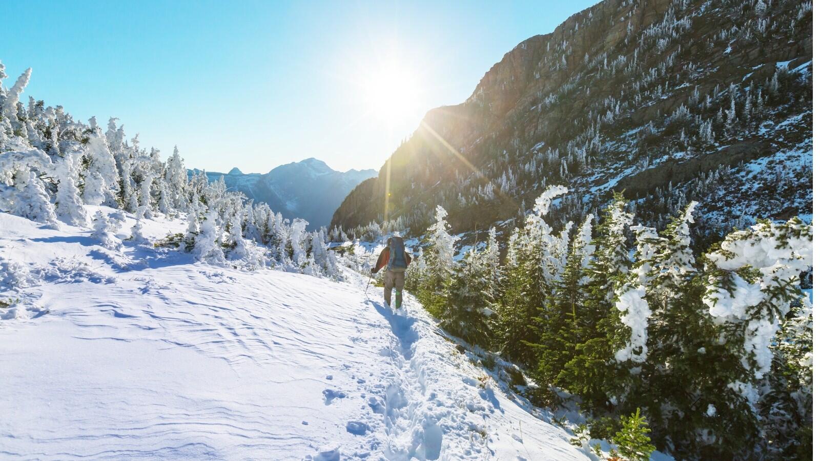 DECATHLON TRAVEL picture