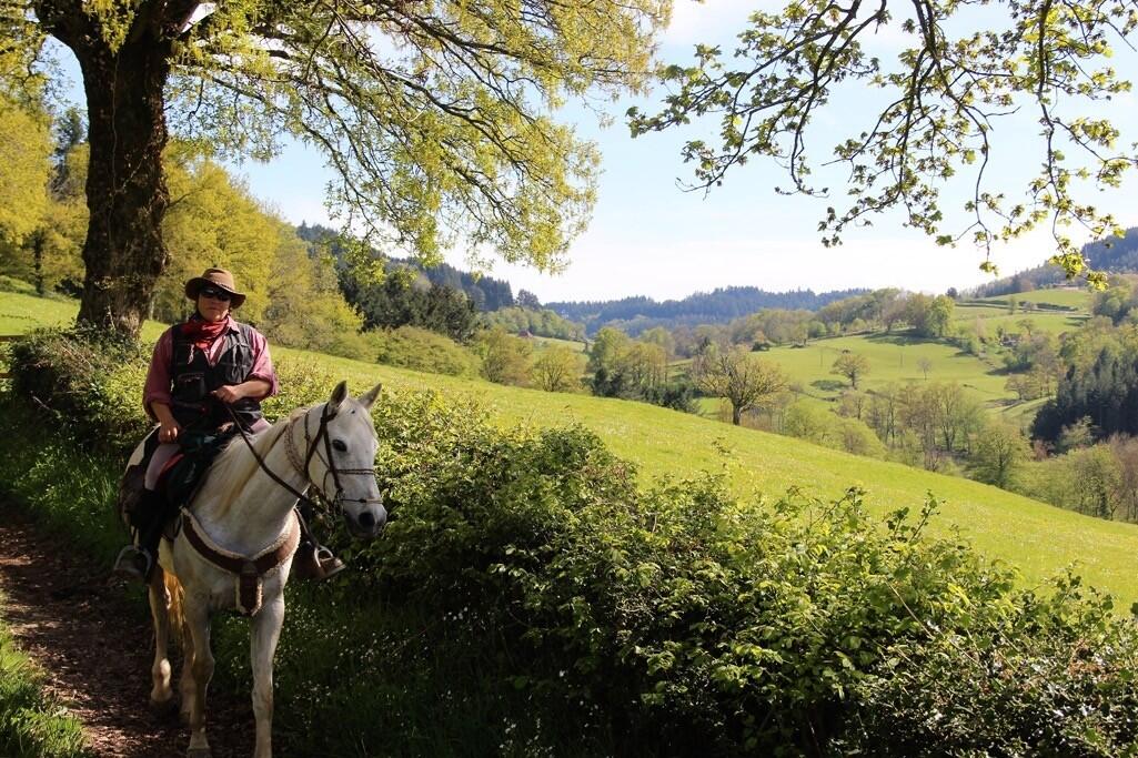 Randonnée à cheval en Bourgogne du Sud, entre charme et terroir 1/1