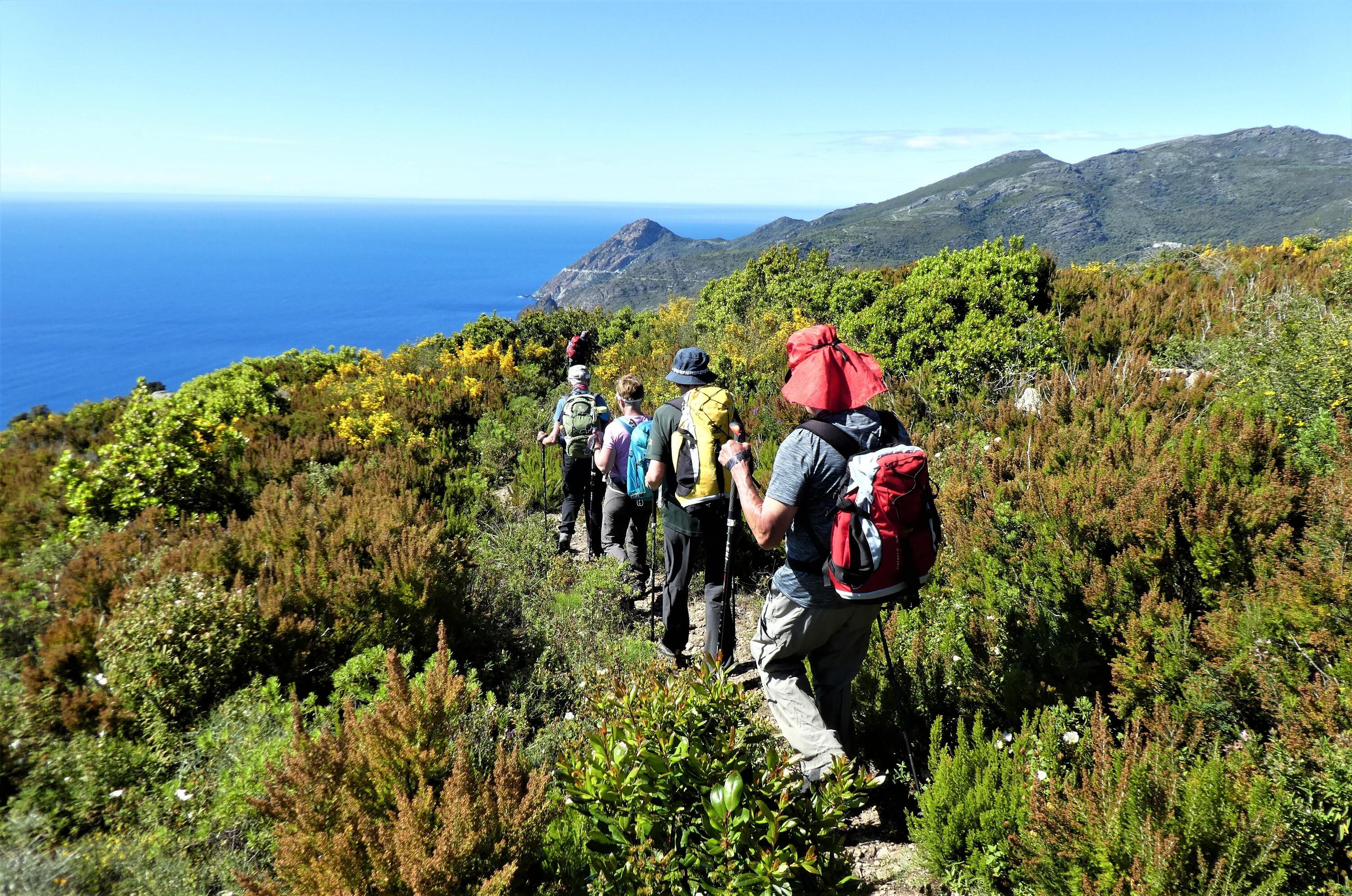 DECATHLON TRAVEL picture
