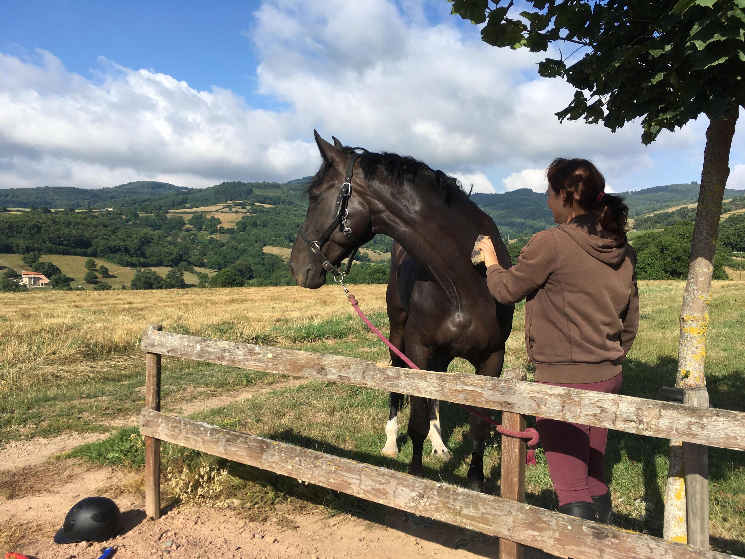 Randonnée à cheval et détente dans le Brionnais 1/1