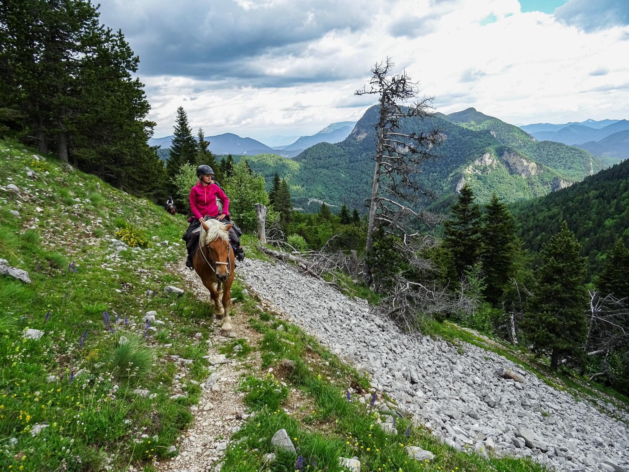 DECATHLON TRAVEL picture