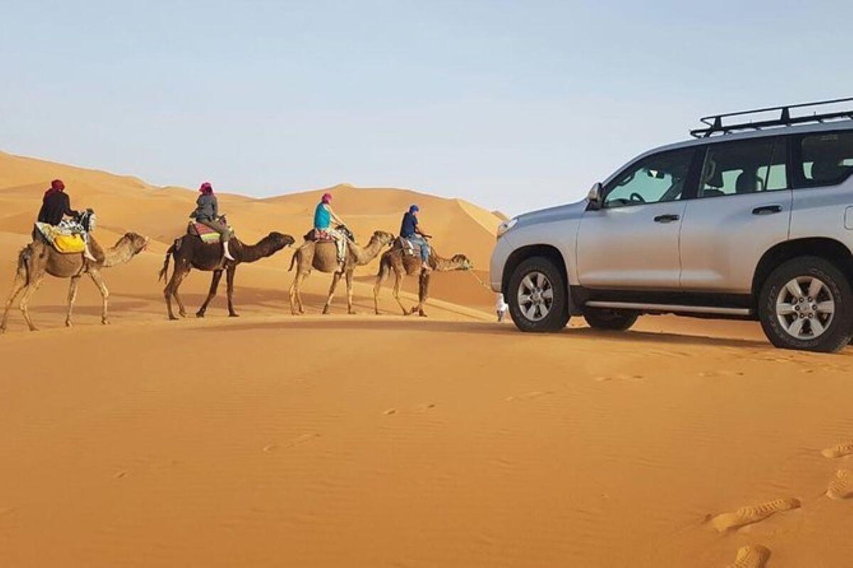DECATHLON TRAVEL picture