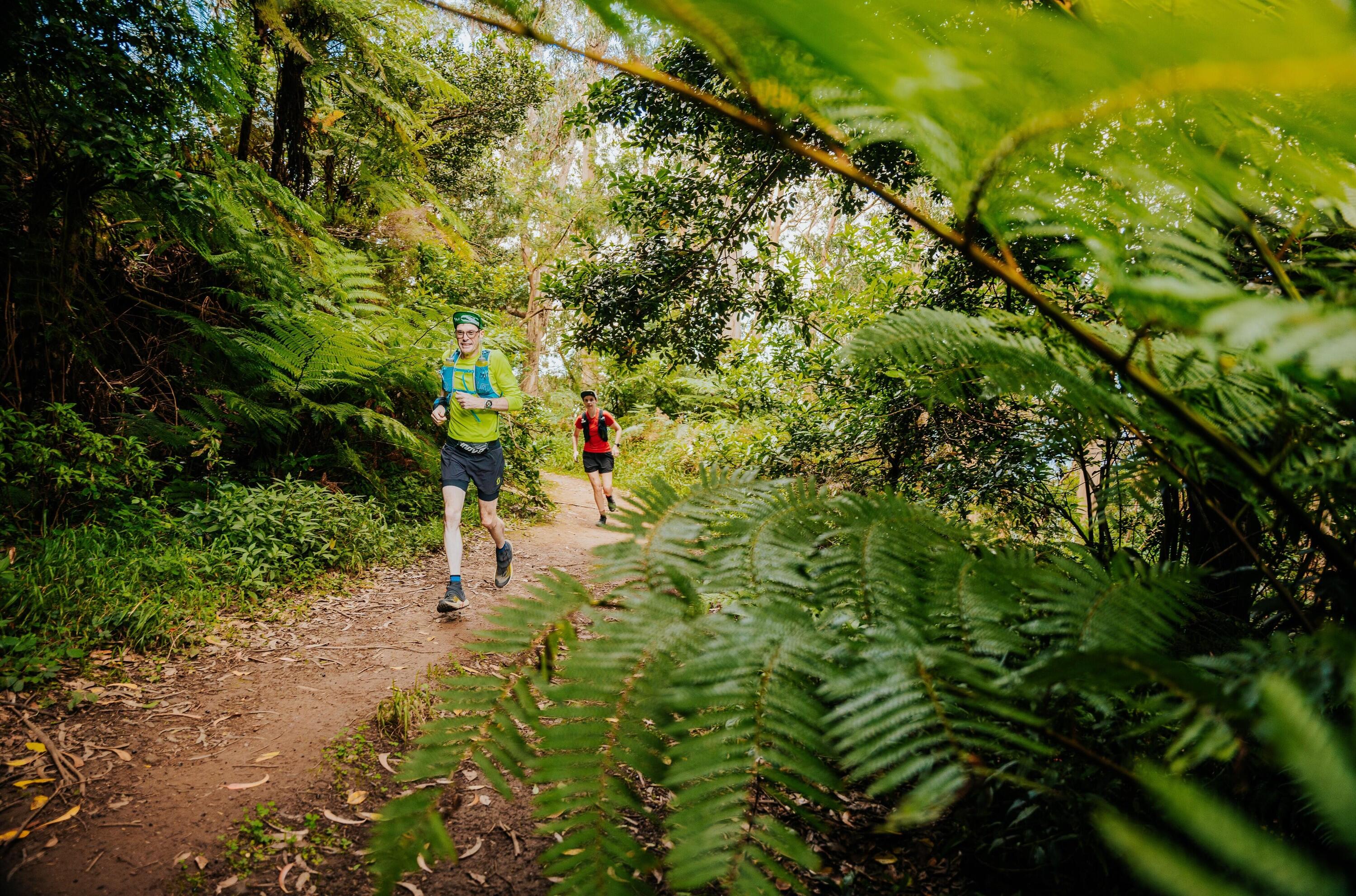DECATHLON TRAVEL picture
