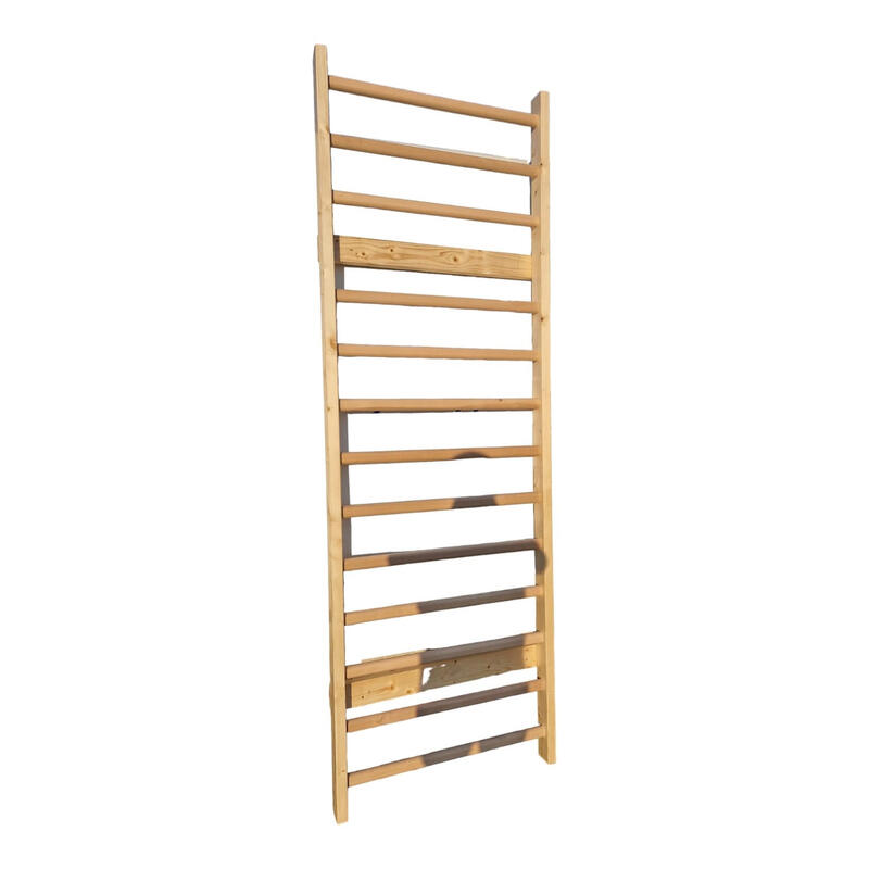 Spalier standard gimnastica Anastasia Sport 275x92 cm