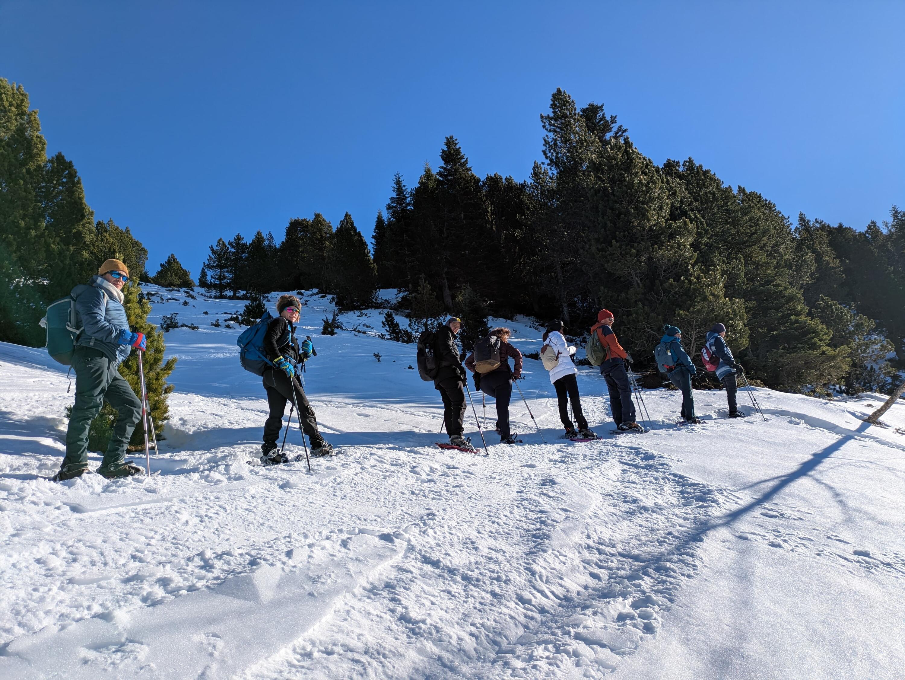 DECATHLON TRAVEL picture