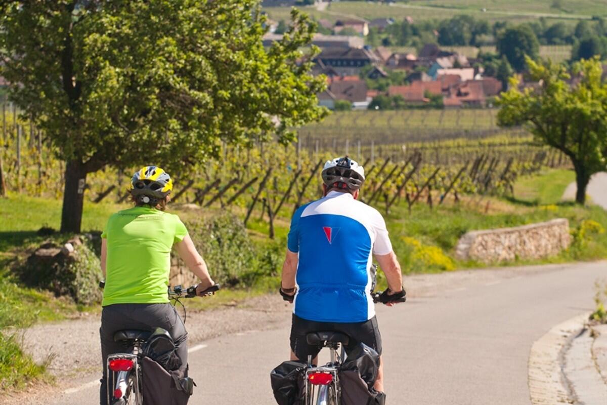 À vélo entre vignes et villages d’Alsace en 7 jours, en hôtels 3* 1/1