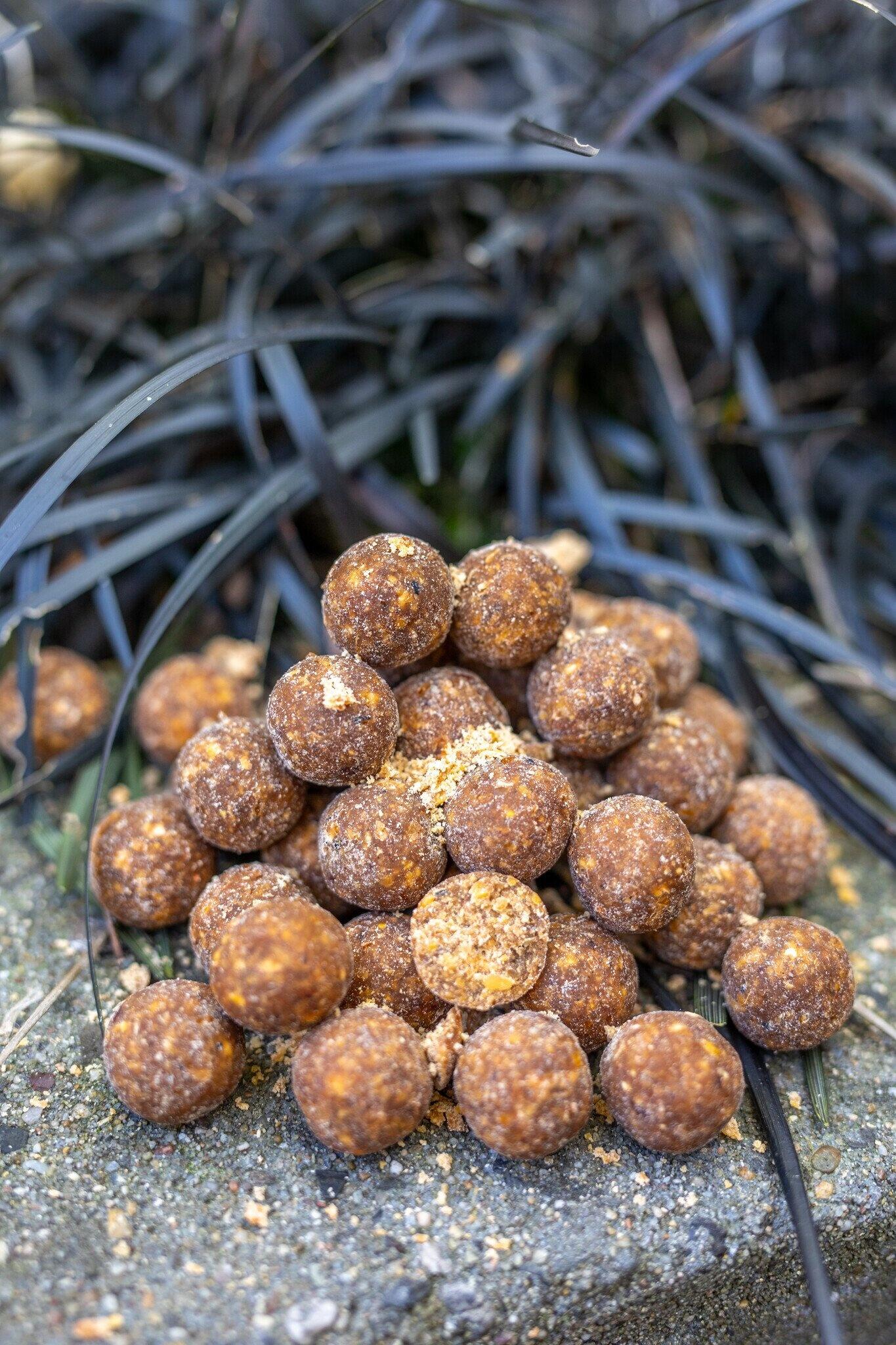 BAITWORLD picture