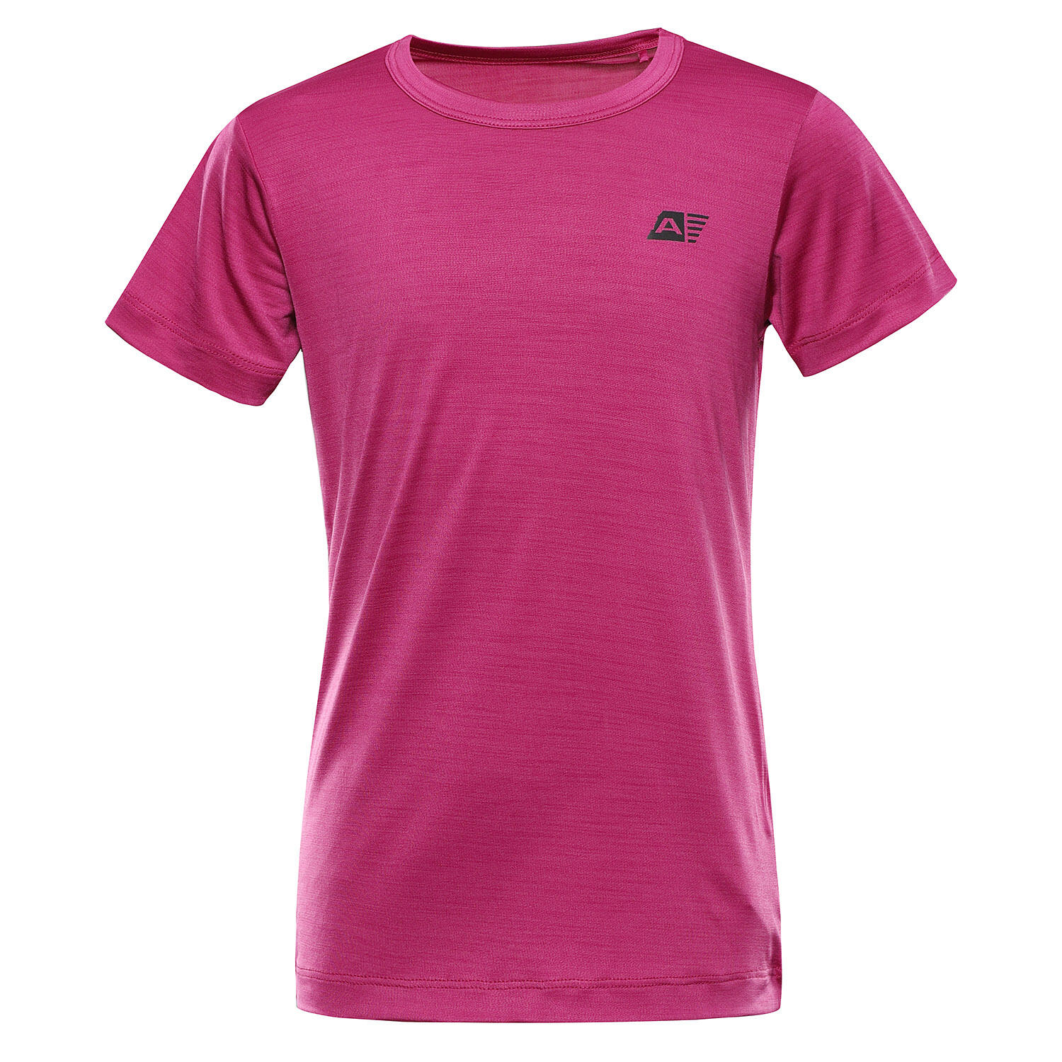 ALPINE PRO picture