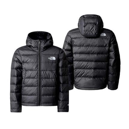 Veste à capuche The North Face Never Stop Down