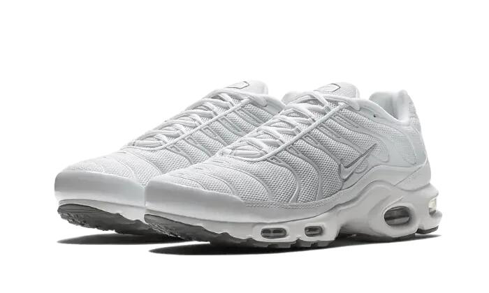 Nike Air Max Plus White Metallic Silver 3/4
