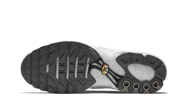 Nike Air Max Plus White Metallic Silver 4/4