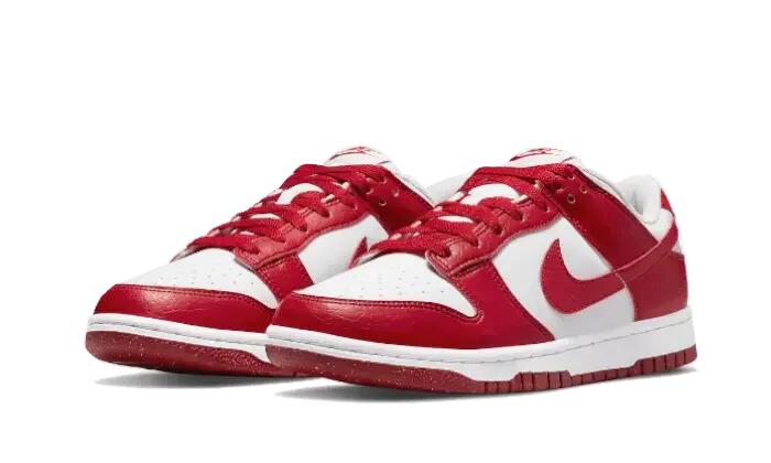 Dunk Low Next Nature Gym Red 2/4
