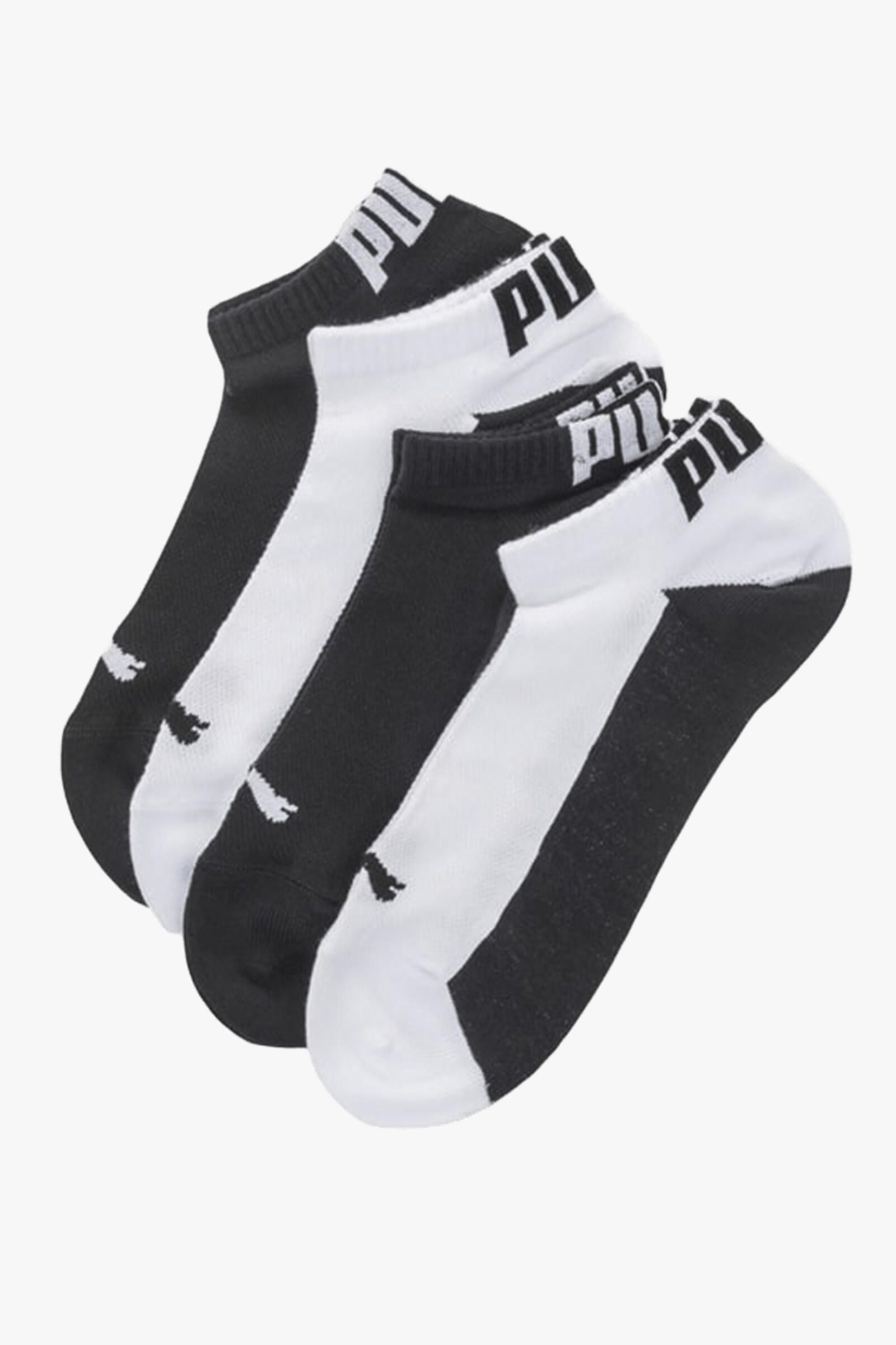 PUMA picture