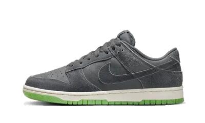 Schoenen - basketbal - dunk low - low-top - iron grey/phantom