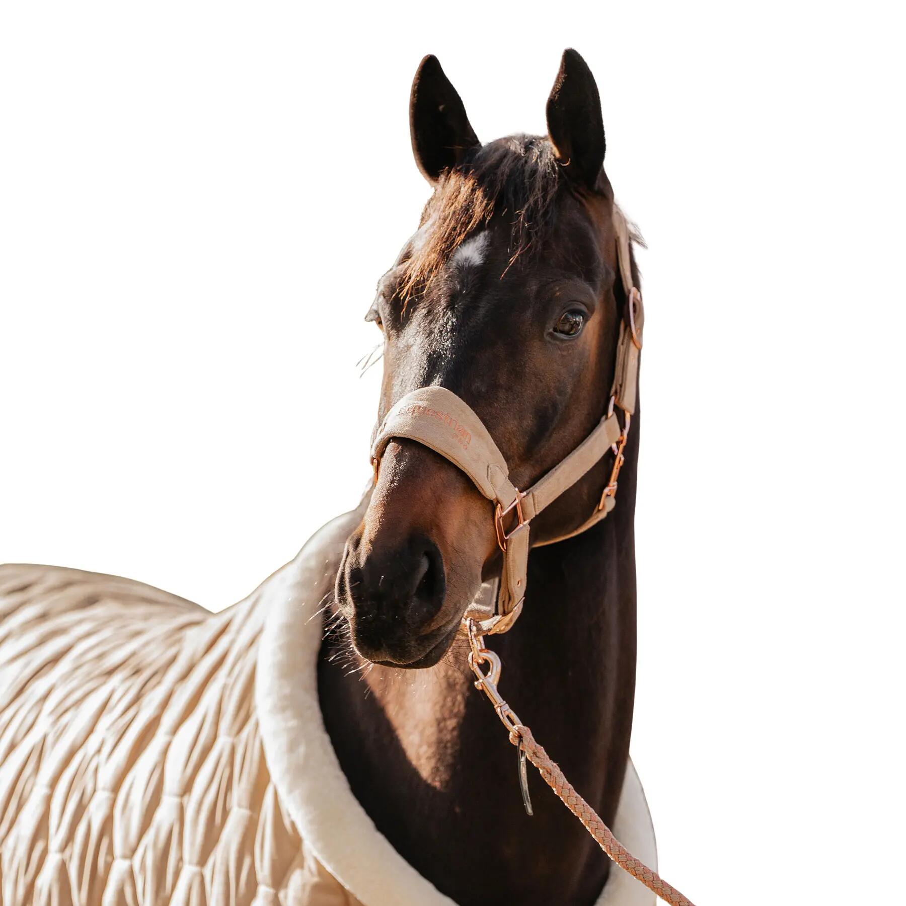 Ensemble licol et longe pour cheval en velours Horka 2/2