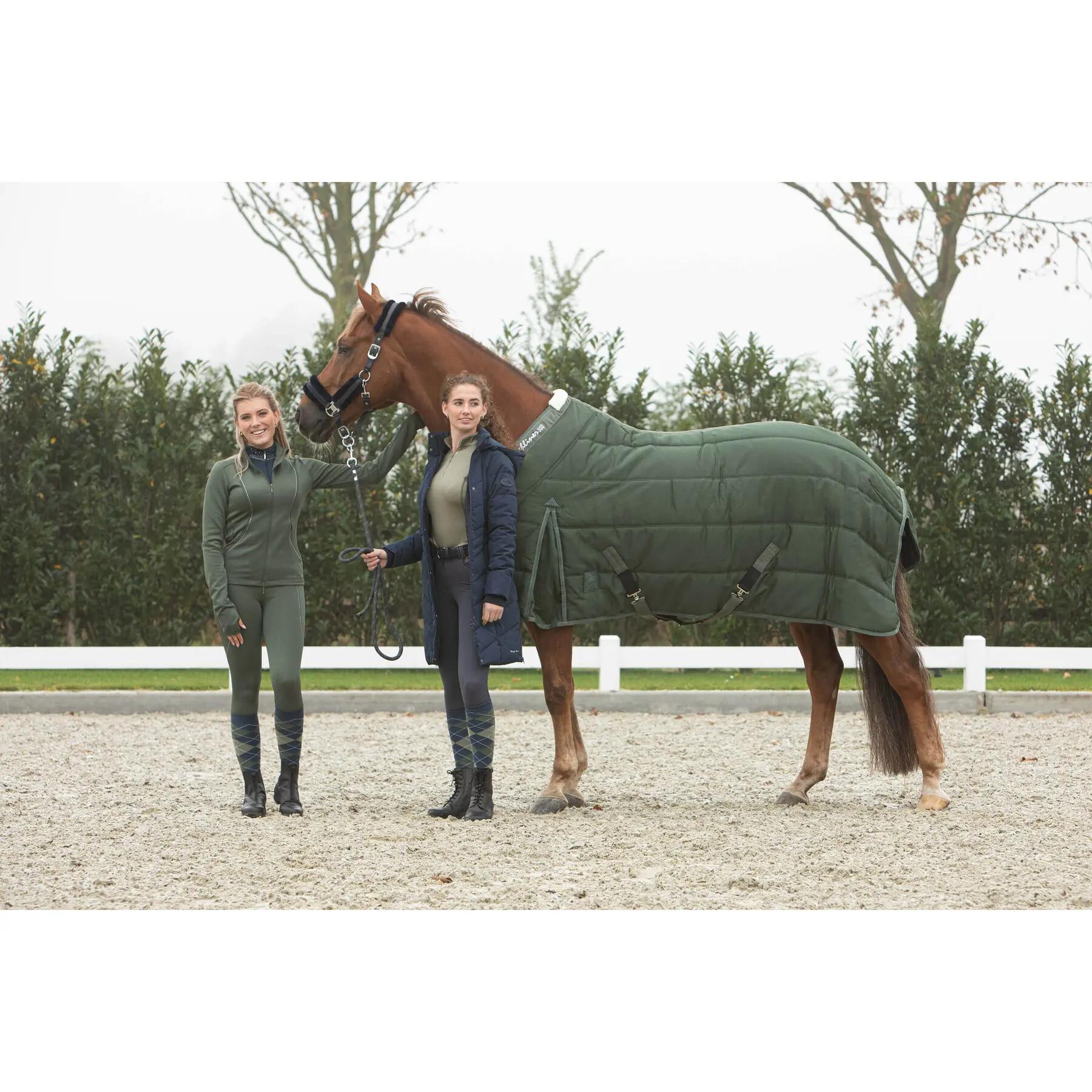 Stable Blanket Harry's Horse Highliner 300 WI25 300g 3/3
