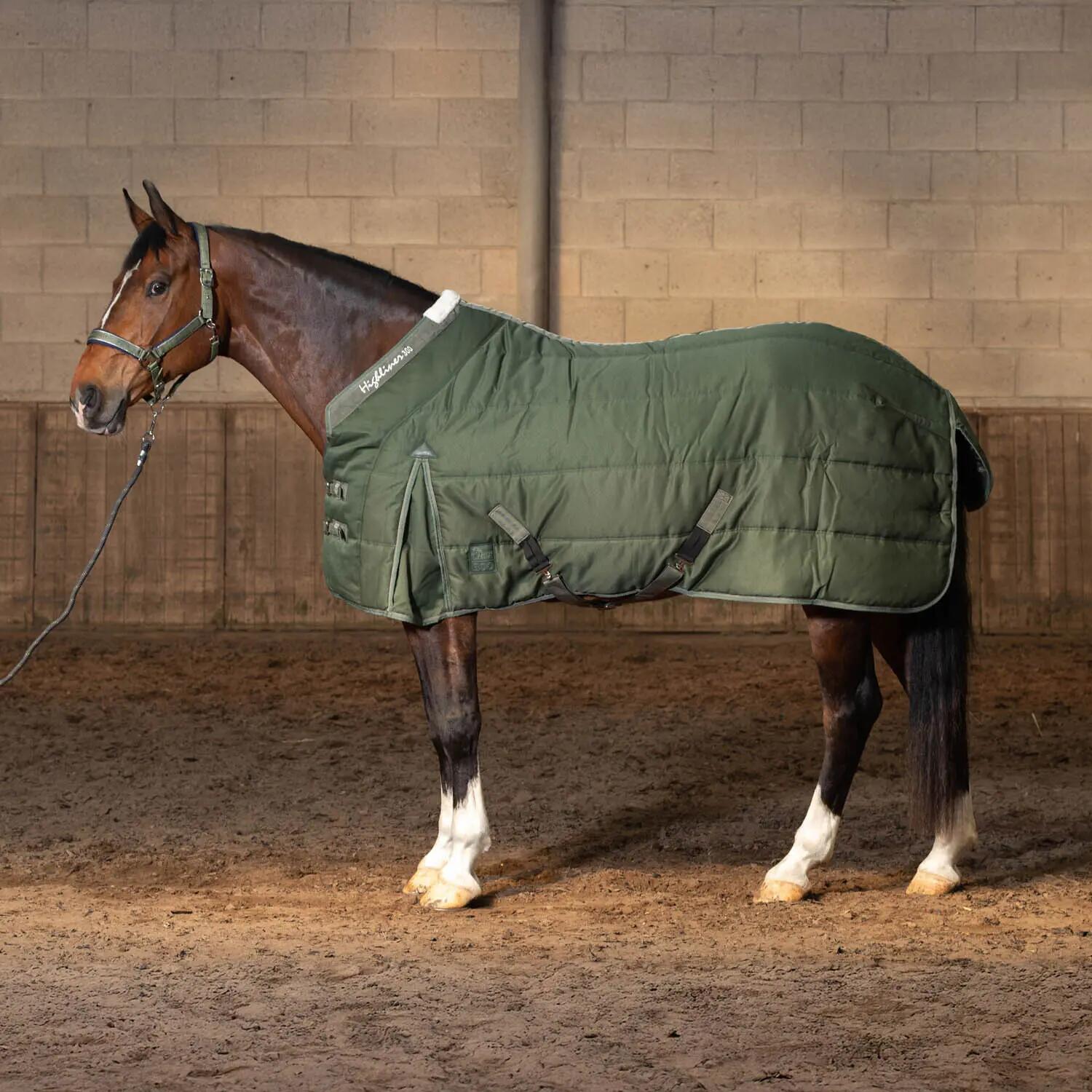 Stable Blanket Harry's Horse Highliner 300 WI25 300g 2/3