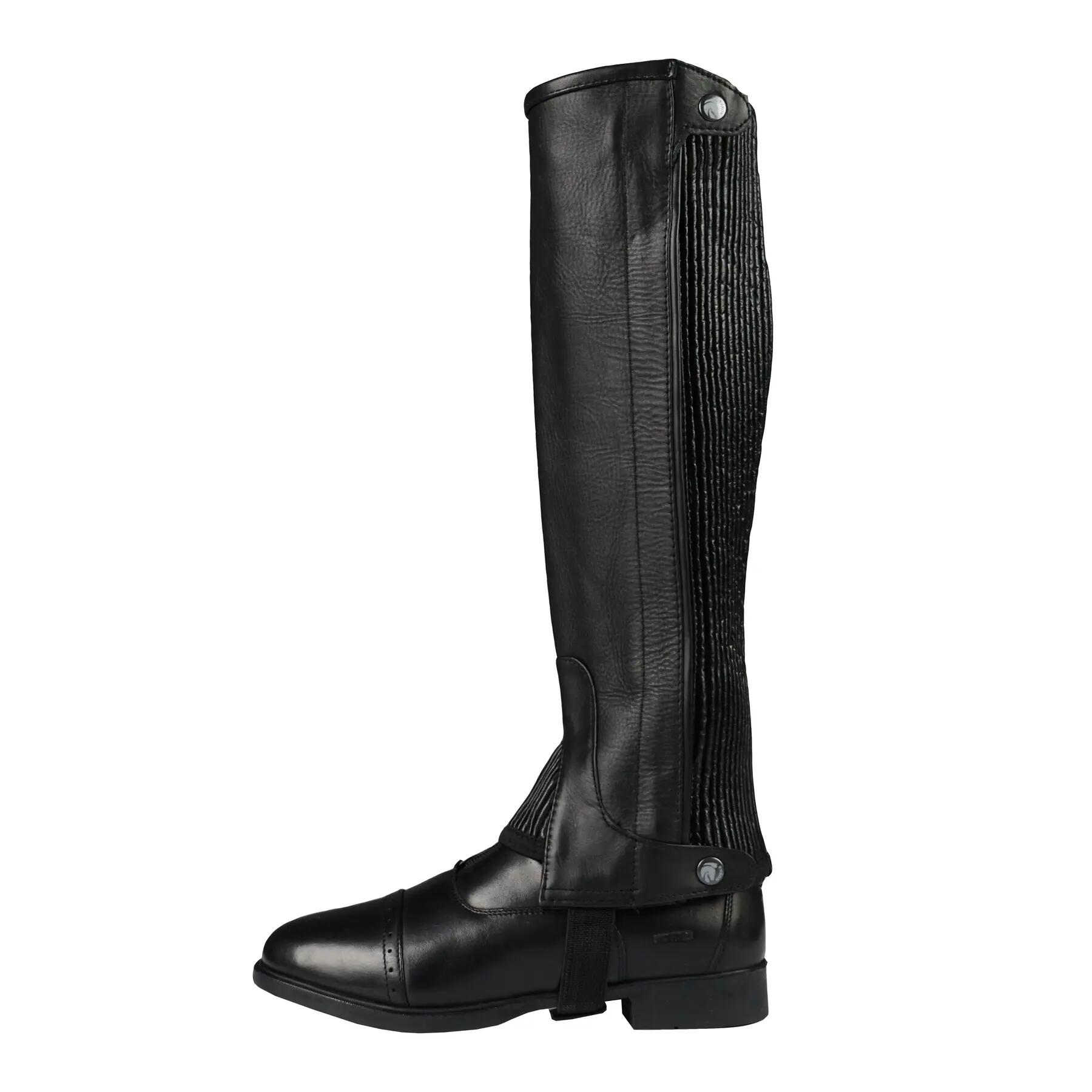 Chaps en cuir Horka 5/6