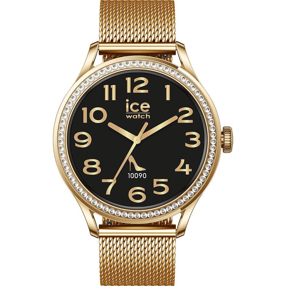 ICE WATCH picture