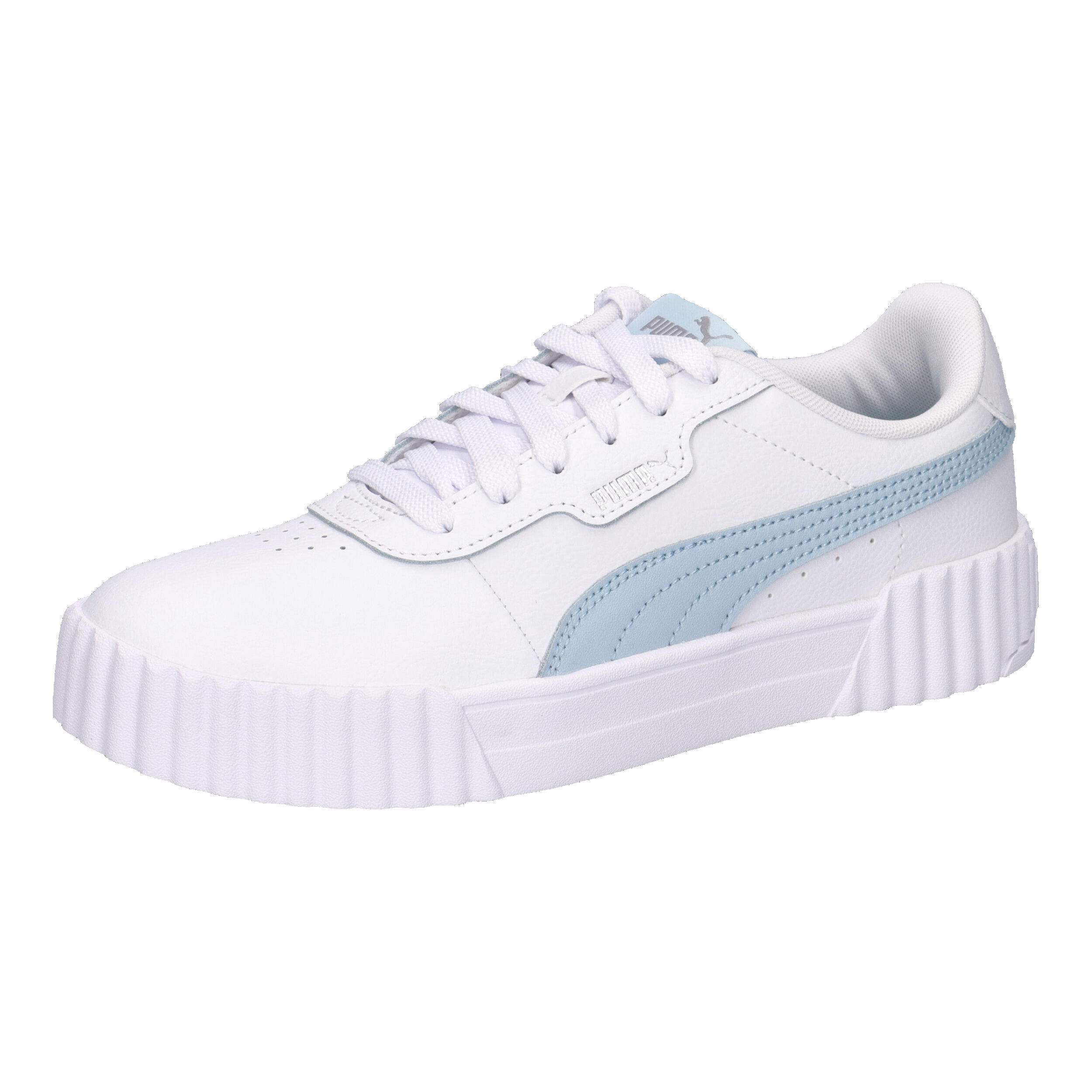 PUMA picture
