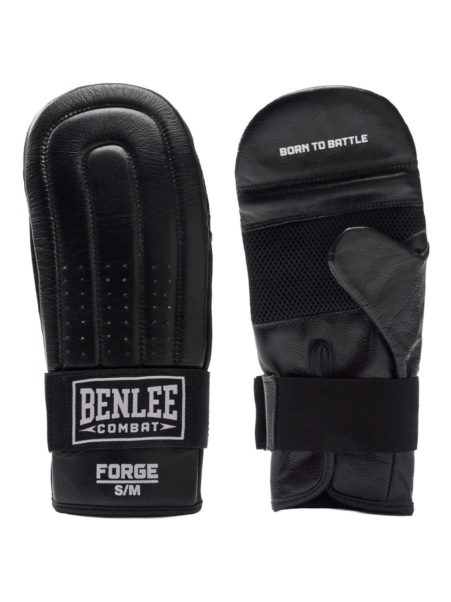 BENLEE picture