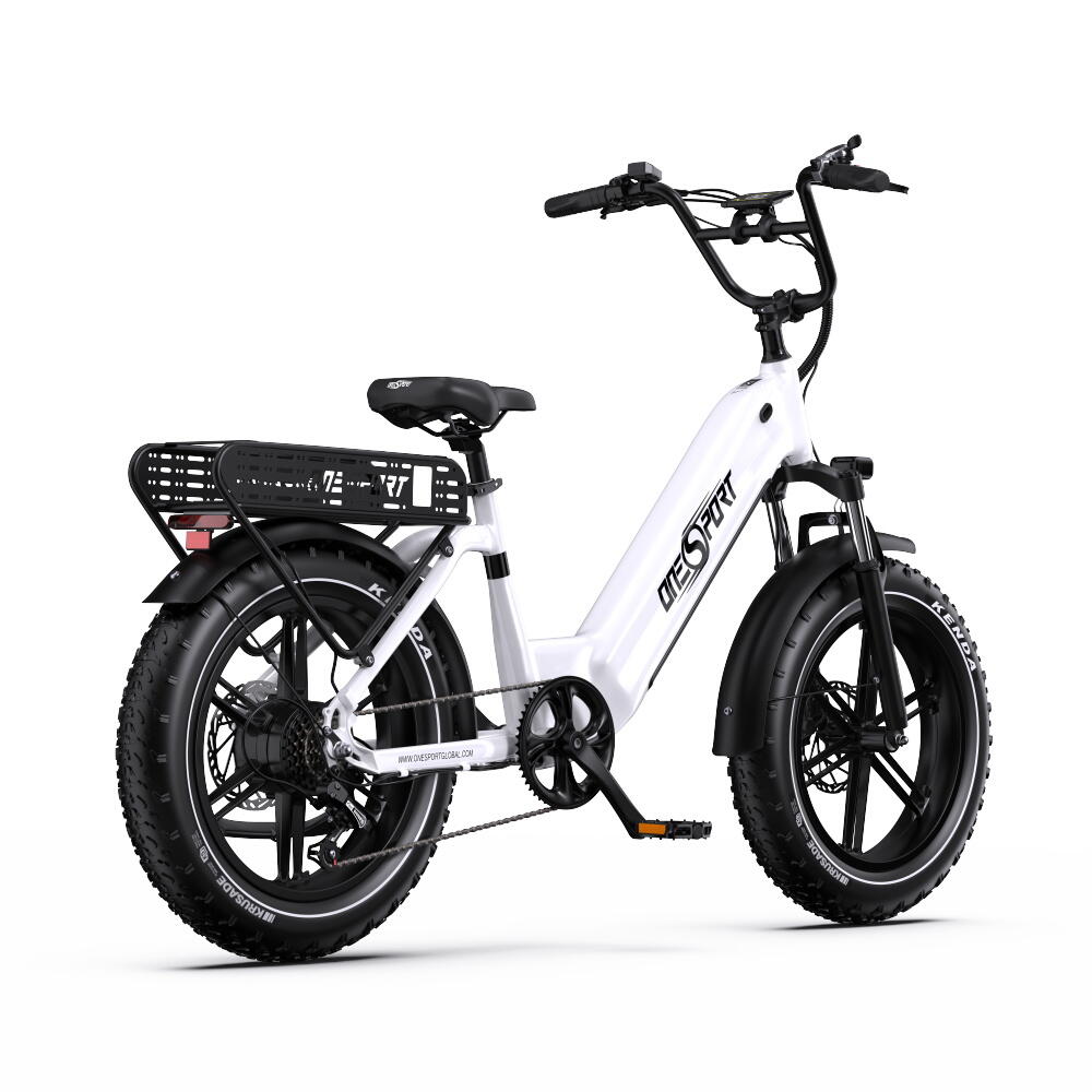 ONESPORT OT08 elektrische fiets, brede banden, Shimano, hydraulische remmen 5/5
