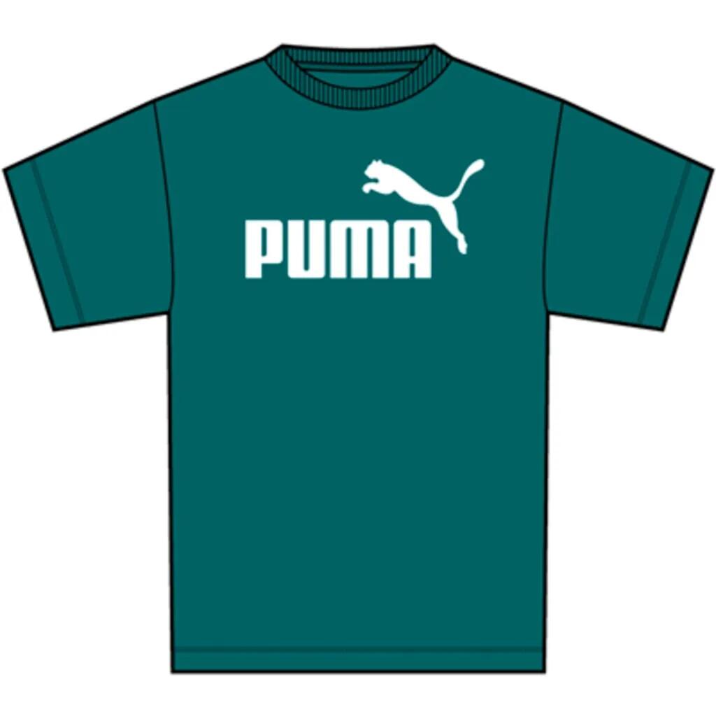 PUMA picture
