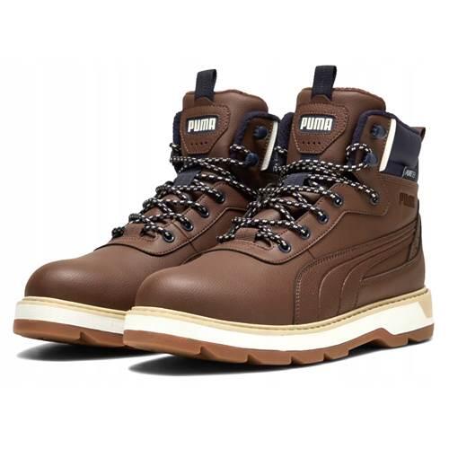 Herren universal Schuhe Puma Desierto V3 Puretex 2/4
