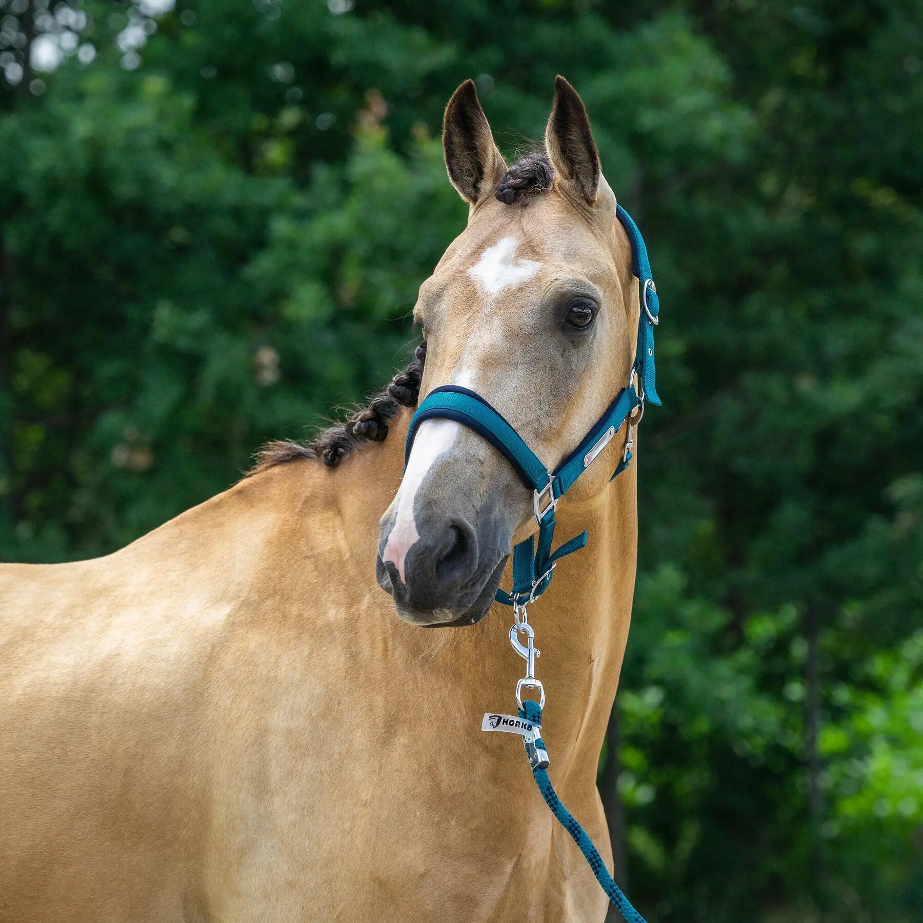 Licol pour cheval Horka Classic Delight 2/2