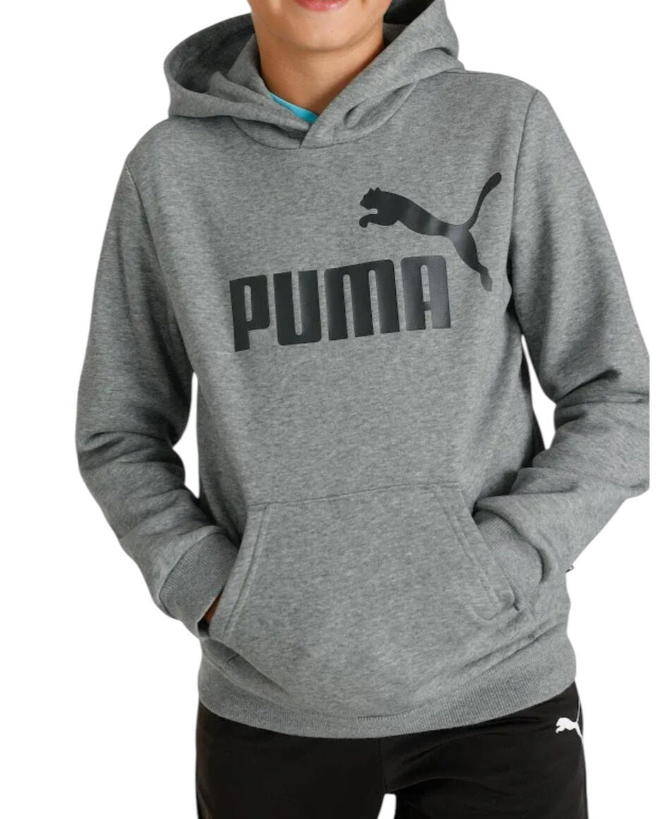 PUMA picture