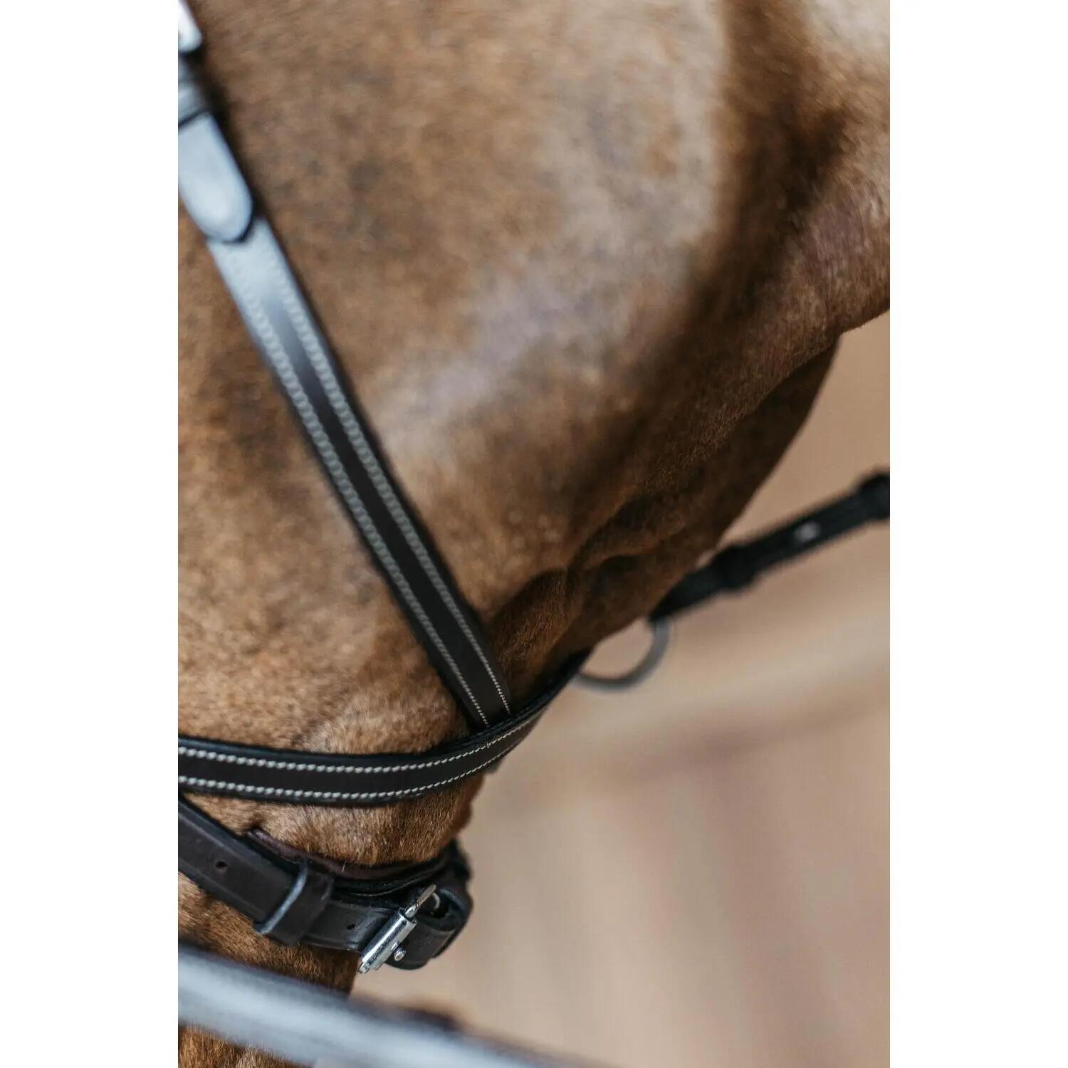 Briglia da equitazione Dy'on Working Motion 5/7