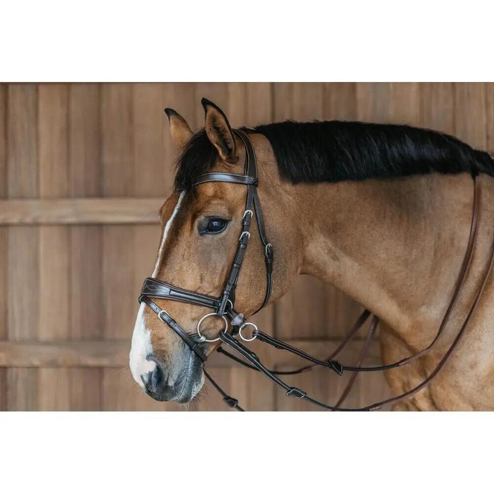 Riding bridle Dy'on Working Motion