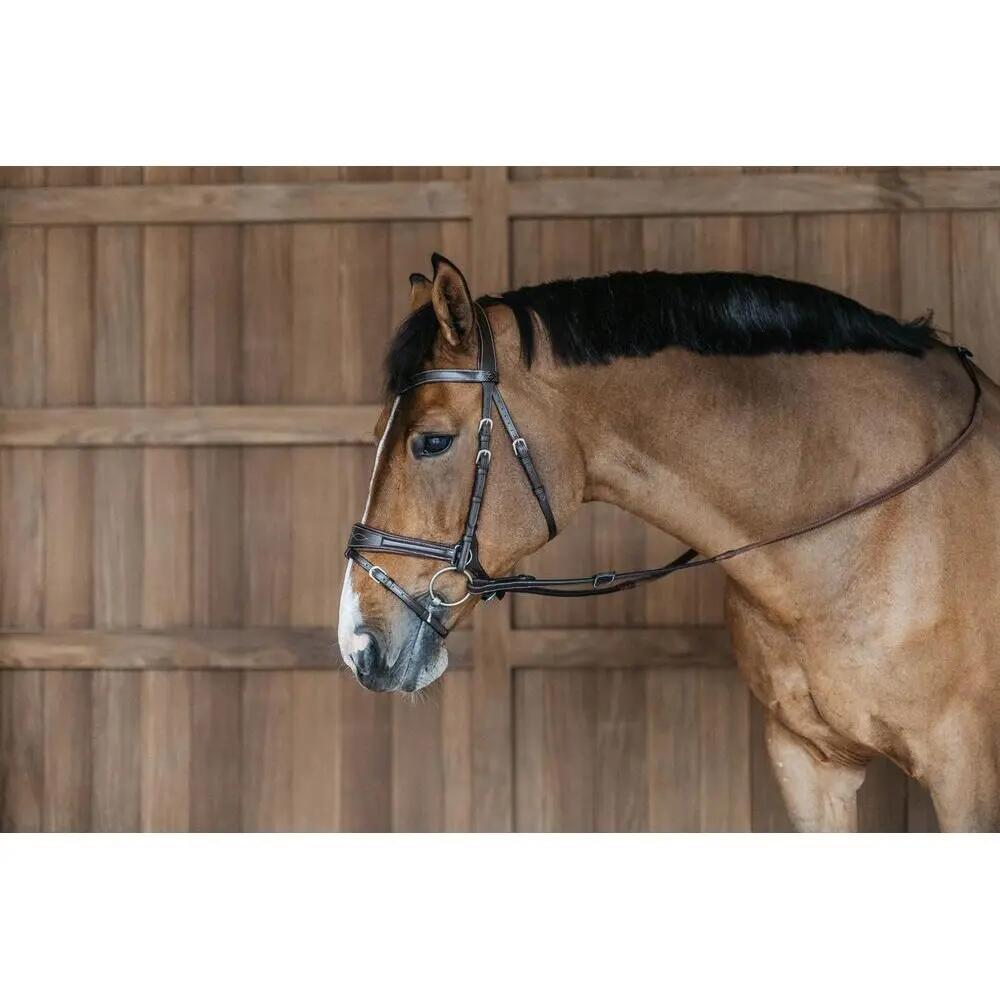 Briglia da equitazione Dy'on Working Motion 4/7