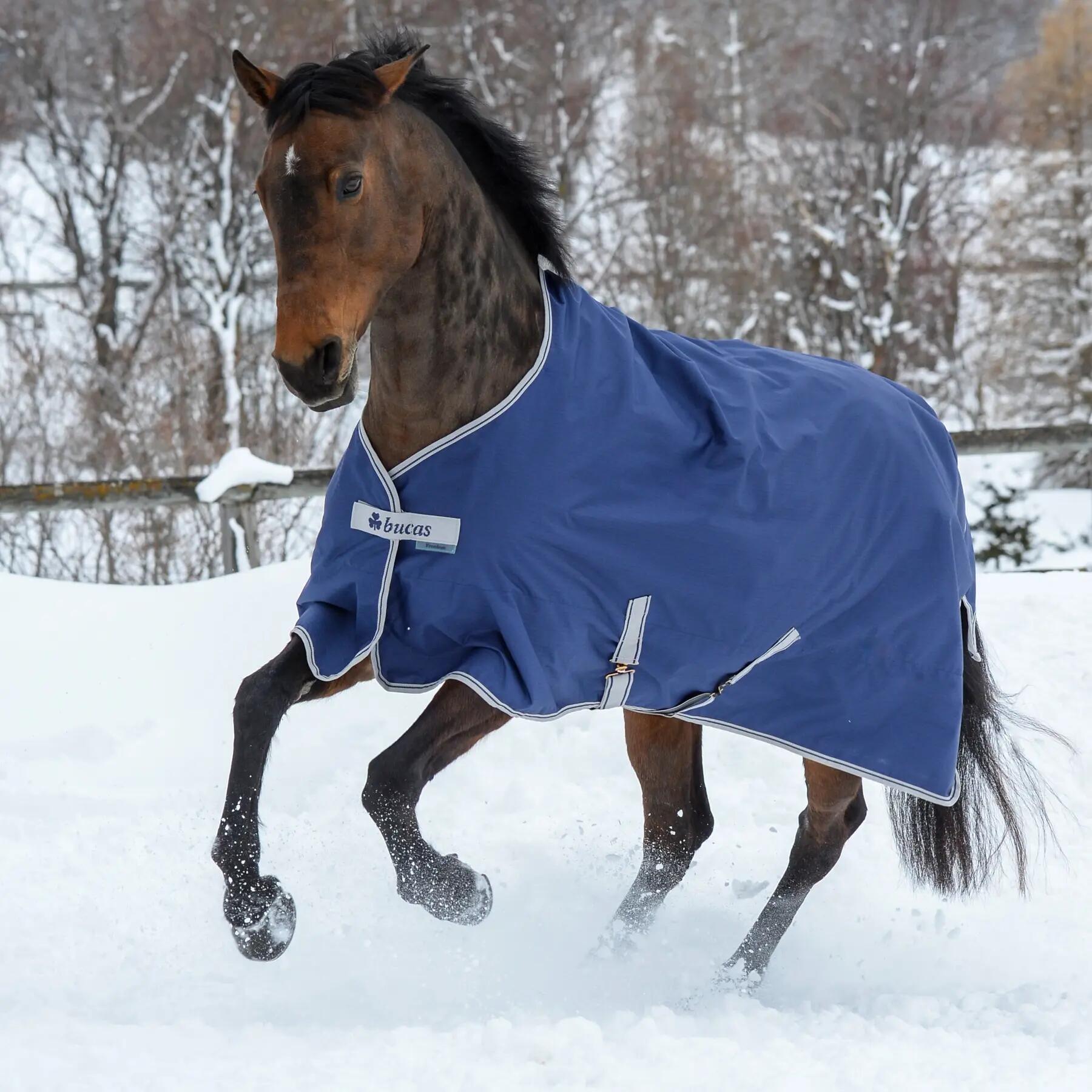Couverture d'extérieur pour cheval Bucas Freedom Turnout 2/4
