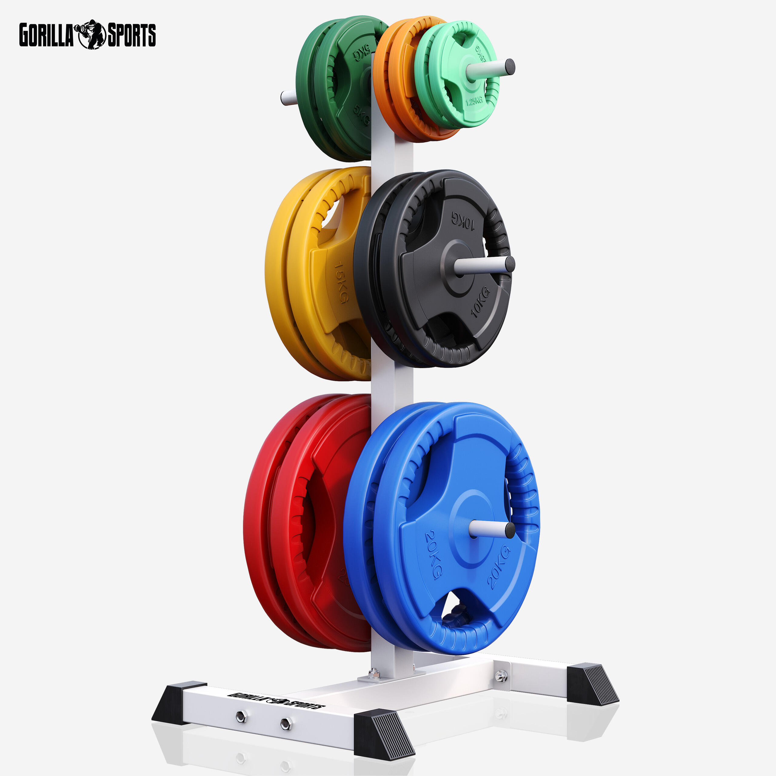 RACK DE RANGEMENT POUR POIDS DISQUES 30/31 MM | MUSCULATION | NOIR OU BLANC 3/7