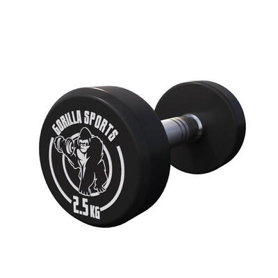 Dumbbell - 2,5 kg - halter - vaste dumbell - gietijzer