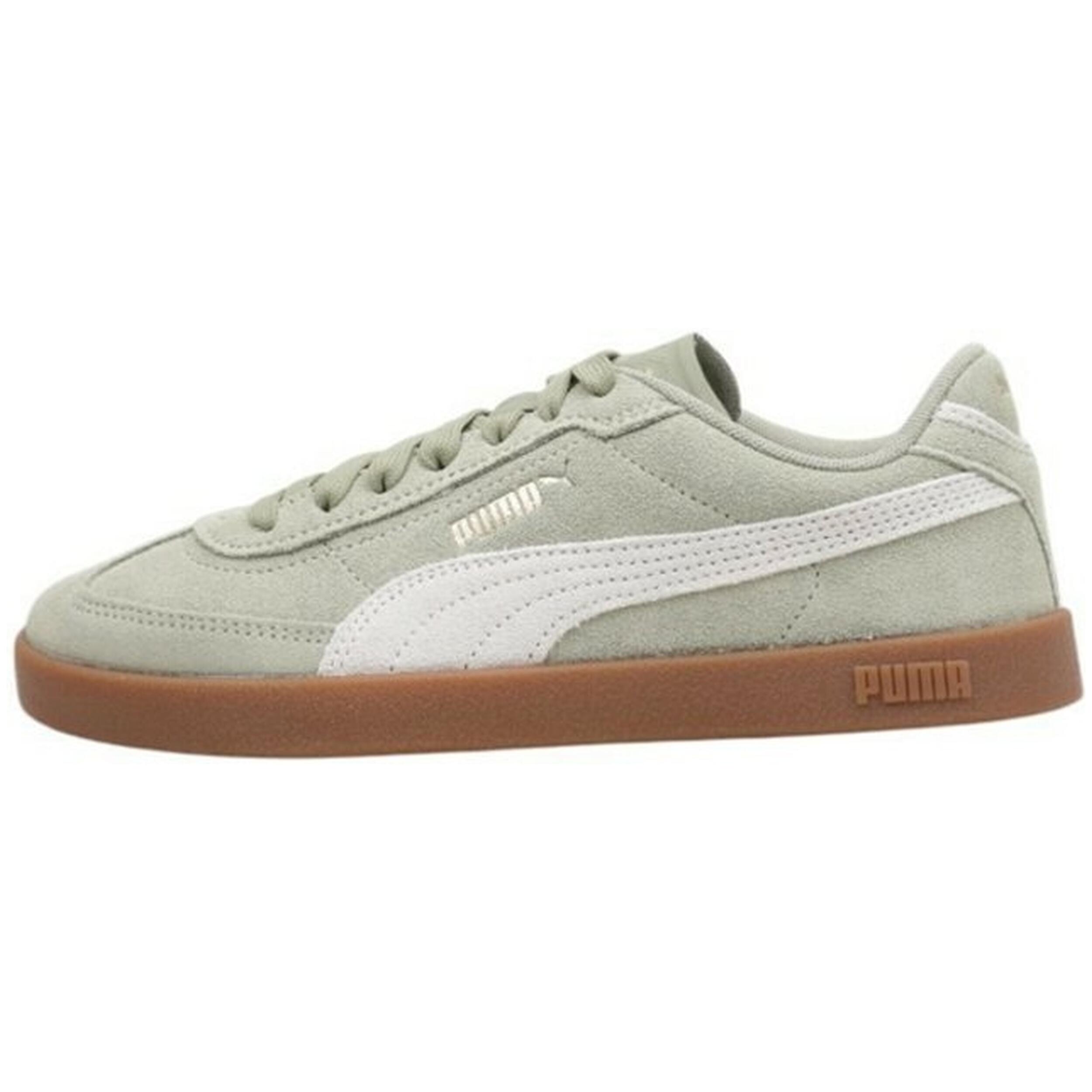 PUMA picture