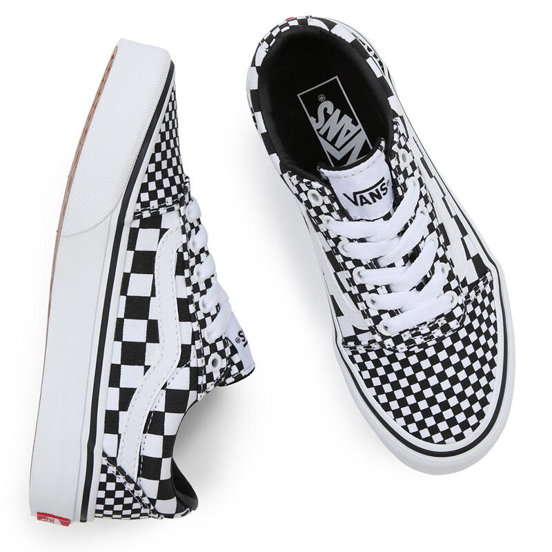 VANS picture